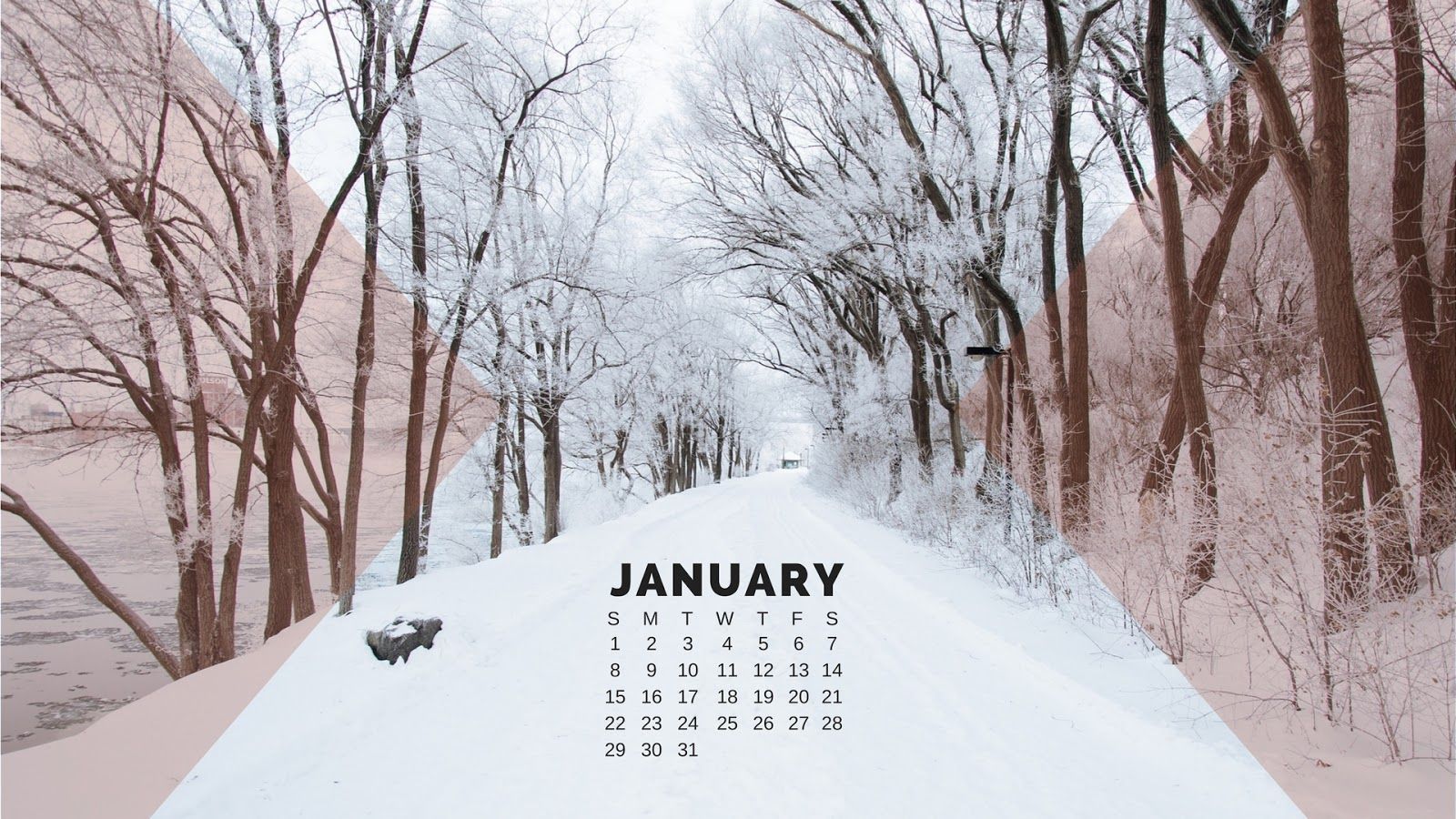 Alberi innevati calendario gennaio, 1920x1080 Full HD 1080p, PC