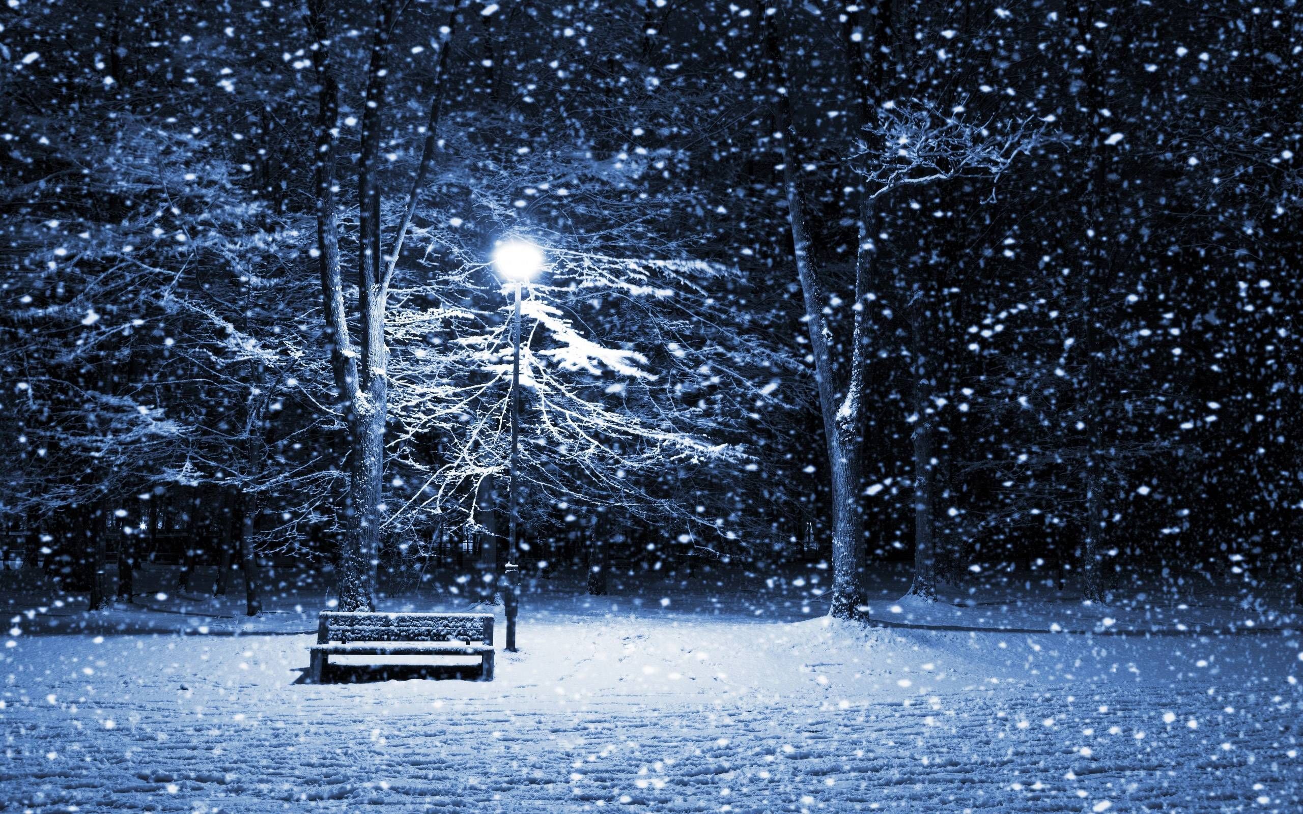 Panchina parco innevato notte, 2560x1600 WQXGA, PC