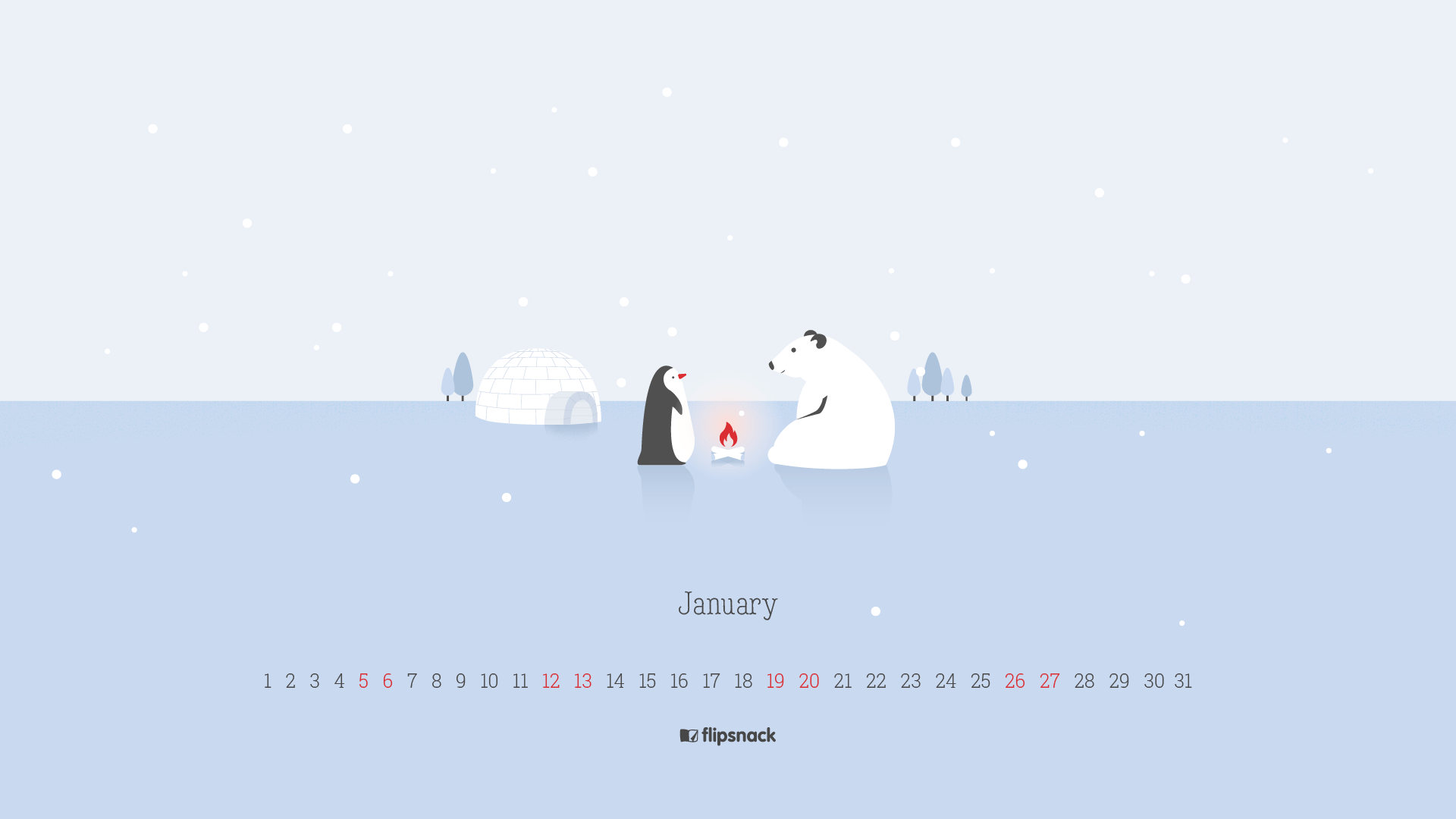 Orso polare e pinguino inverno, 1920x1080 Full HD 1080p, PC