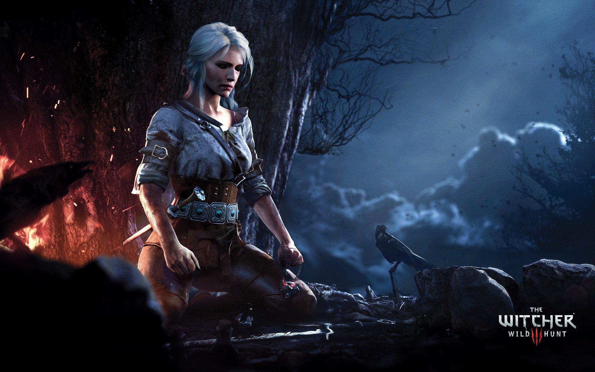 Ciri The Witcher 3, CD Projekt Red, 1920x1200 Full HD+, PC