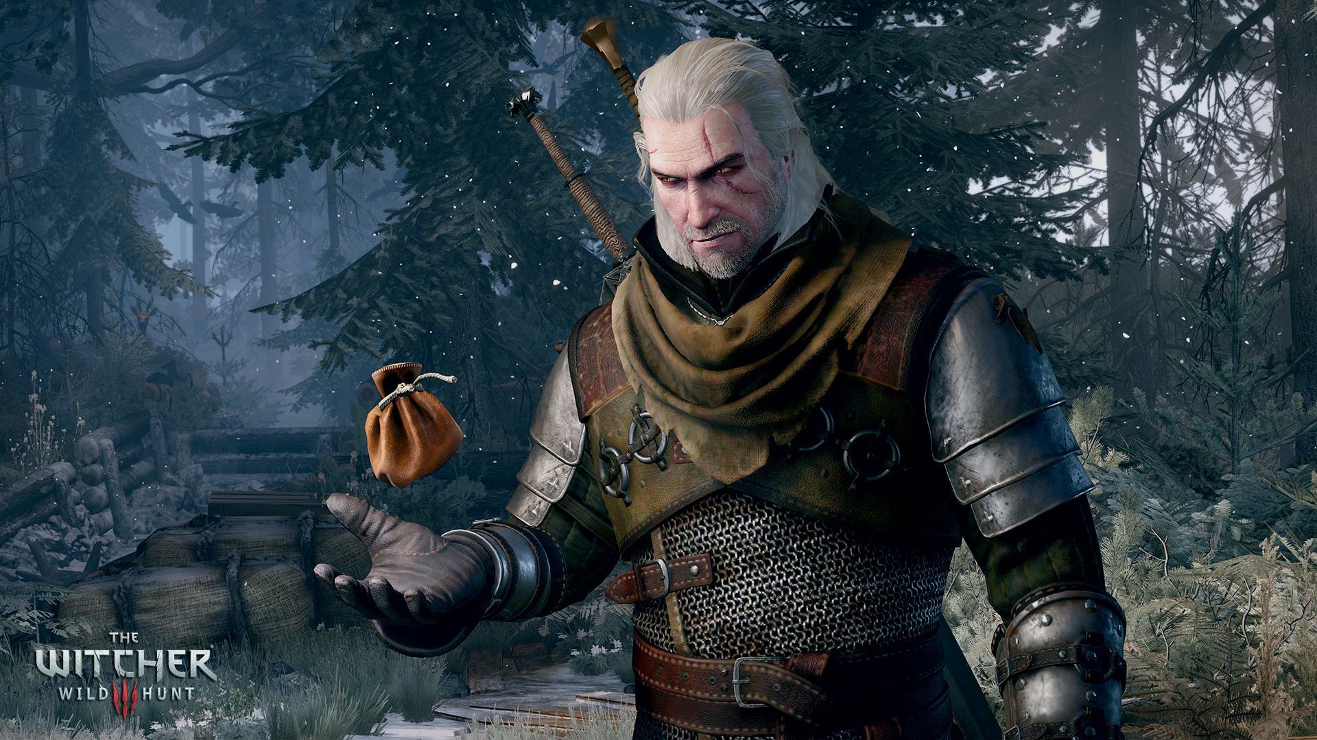 Geralt di Rivia, foresta, 1920x1080 1080p, Desktop