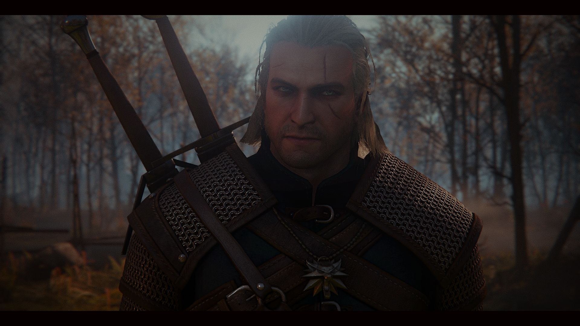 Geralt di Rivia, foresta, 1920x1080 1080p, PC Desktop