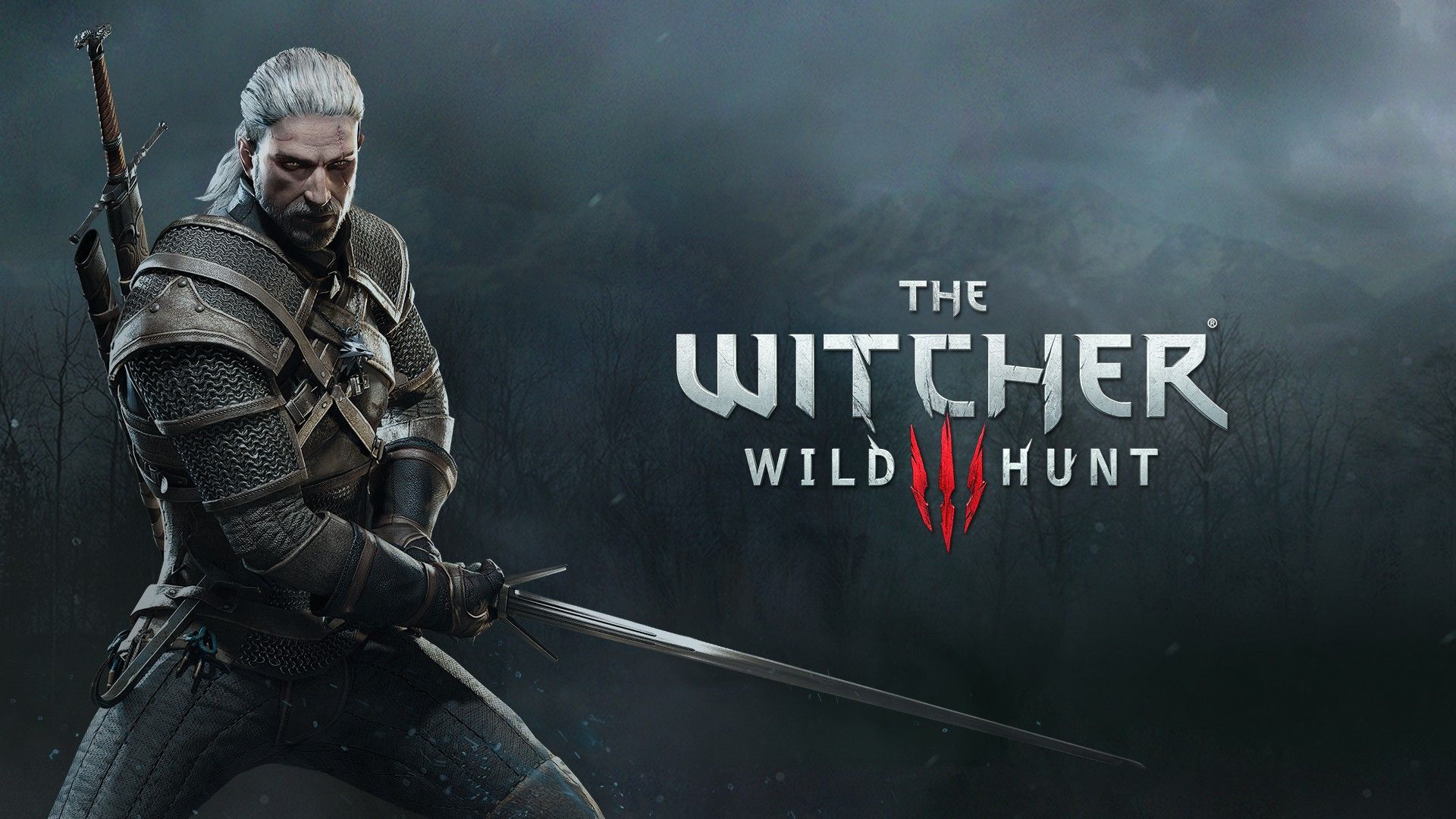 Geralt The Witcher 3, 1920x1080 Full HD 1080p, PC