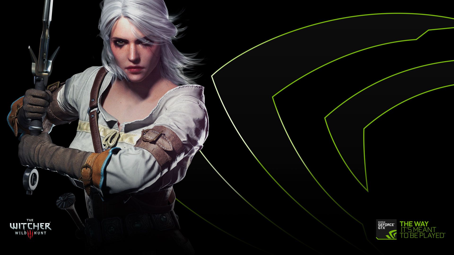 Ciri The Witcher 3, 1920x1080 1080p, Laptop
