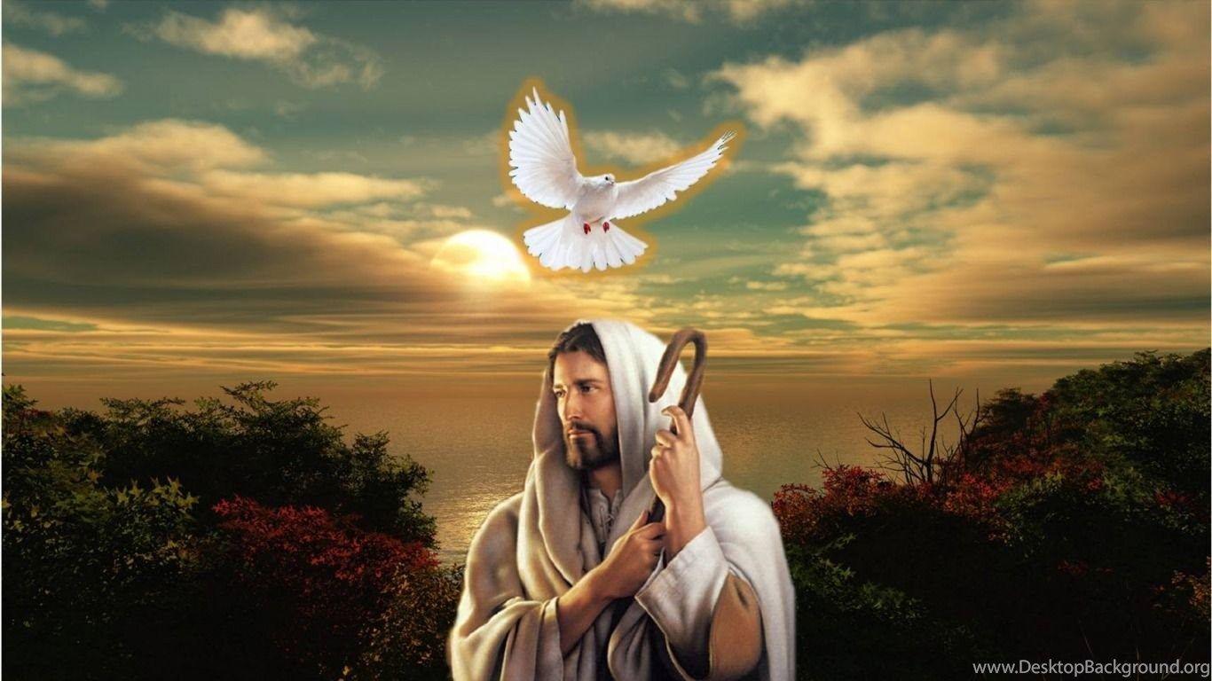Gesù Cristo con colomba bianca, 1366x768 720p, Laptop