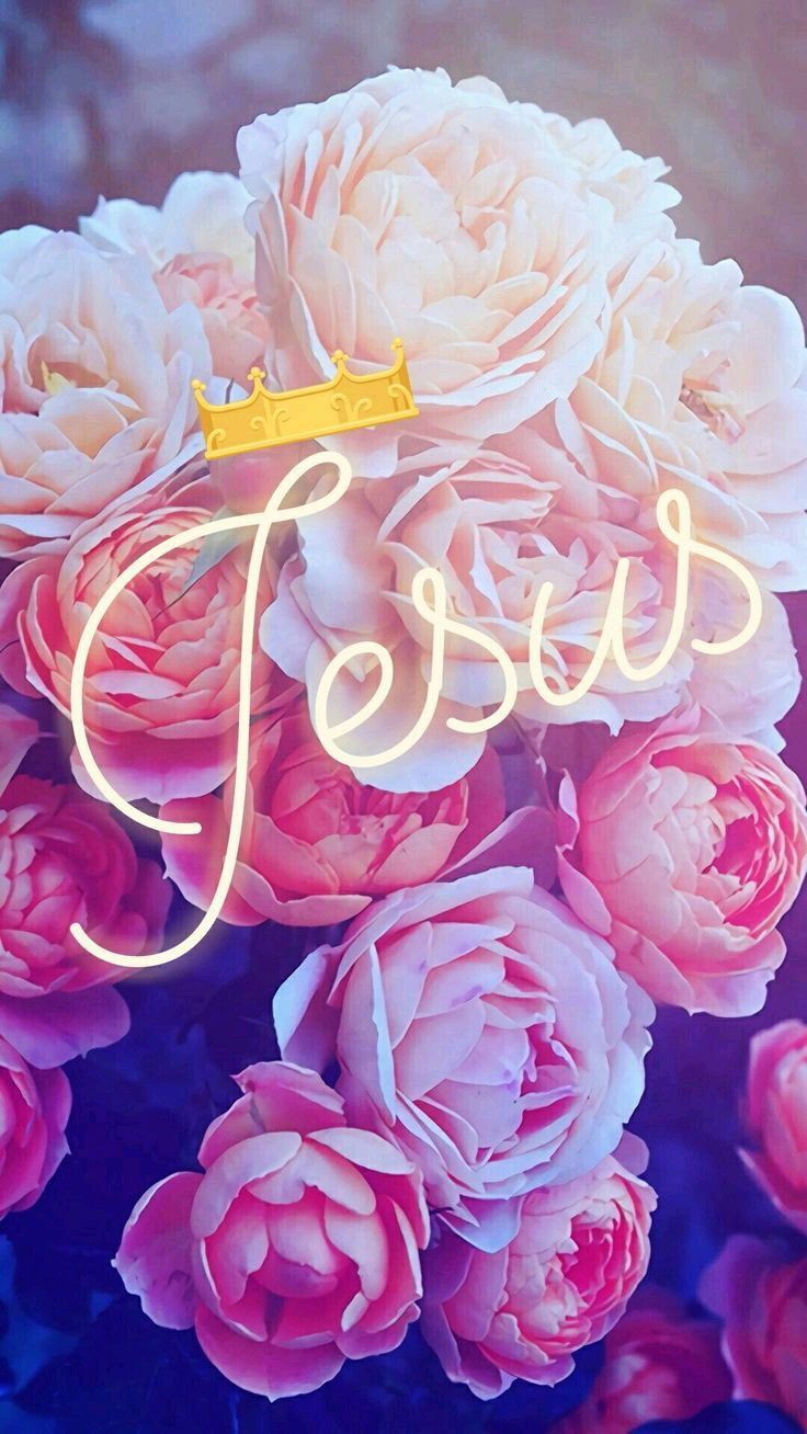 Scritta neon Jesus su rose, 736x1308 Full HD Verticale, Samsung Galaxy