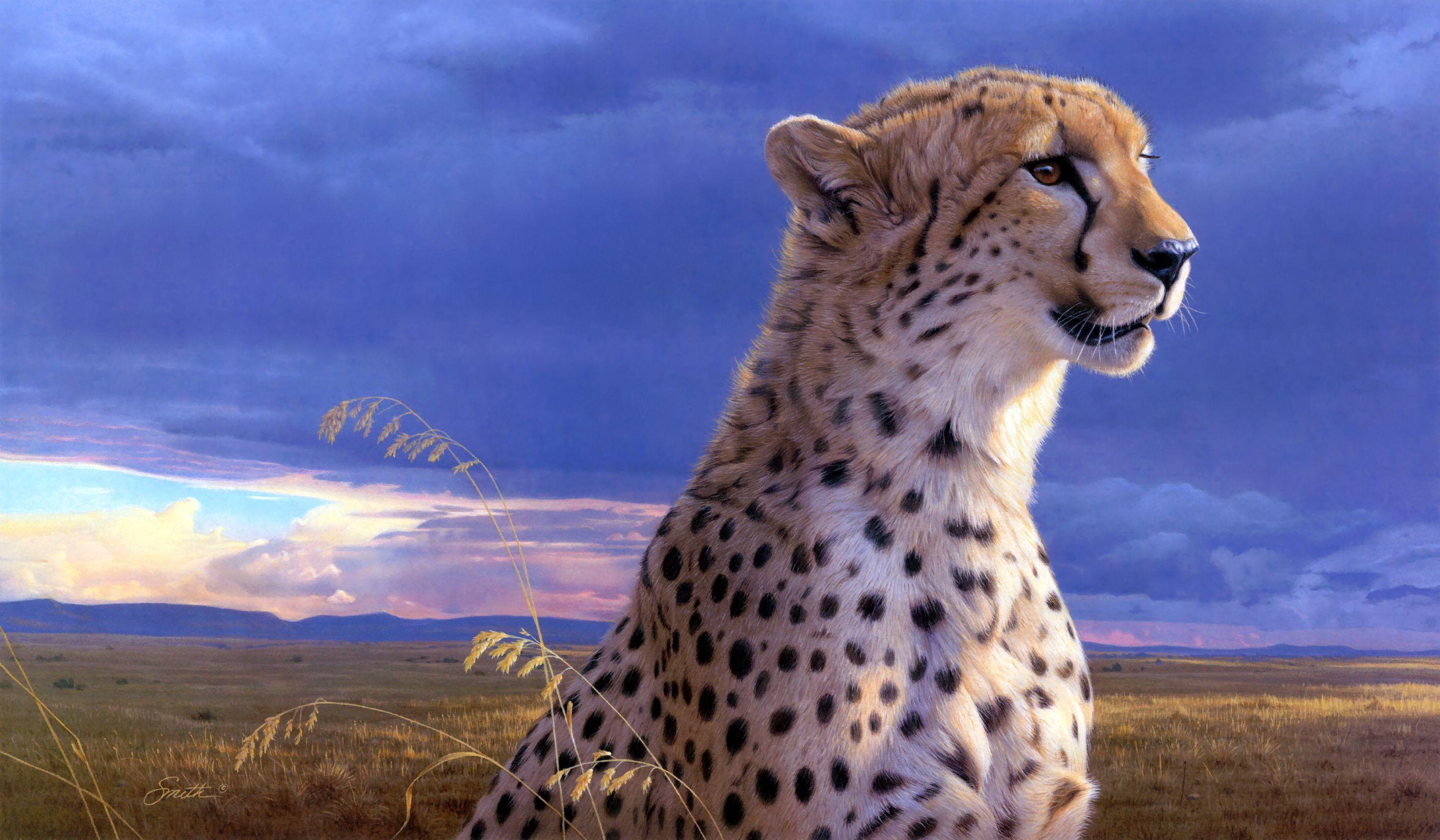 Ghepardo nella savana al tramonto, 2930x1710 WQXGA, PC