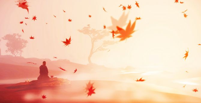 Samurai autunno foglie rosse, 670x344 HD, PC