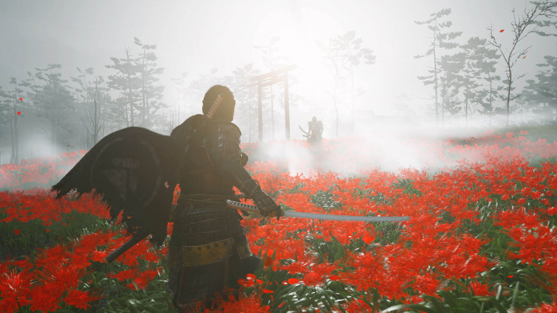 Samurai campo fiori rossi, 1920x1080 Full HD 1080p, PC Desktop