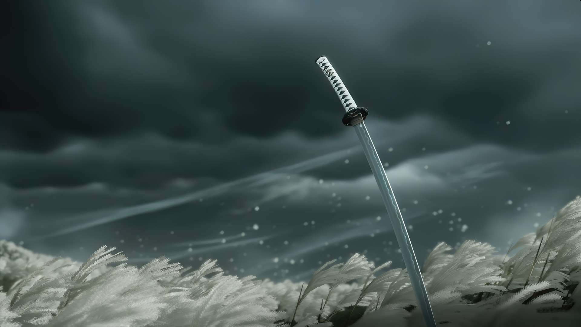 Katana in campo erboso, 1920x1080 Full HD 1080p, Desktop
