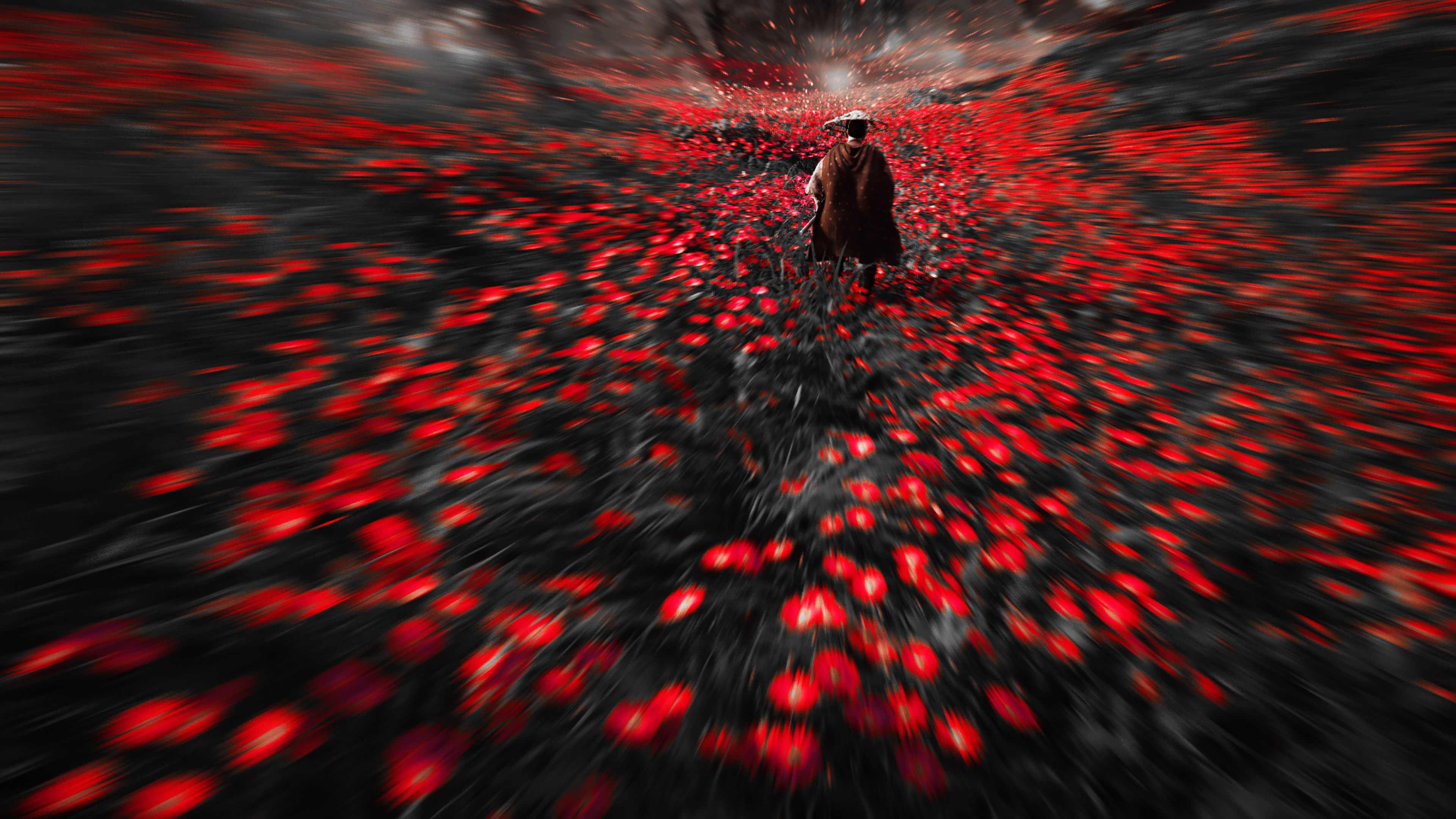 Samurai tra fiori rossi, 3840x2160 4K, Desktop 4K