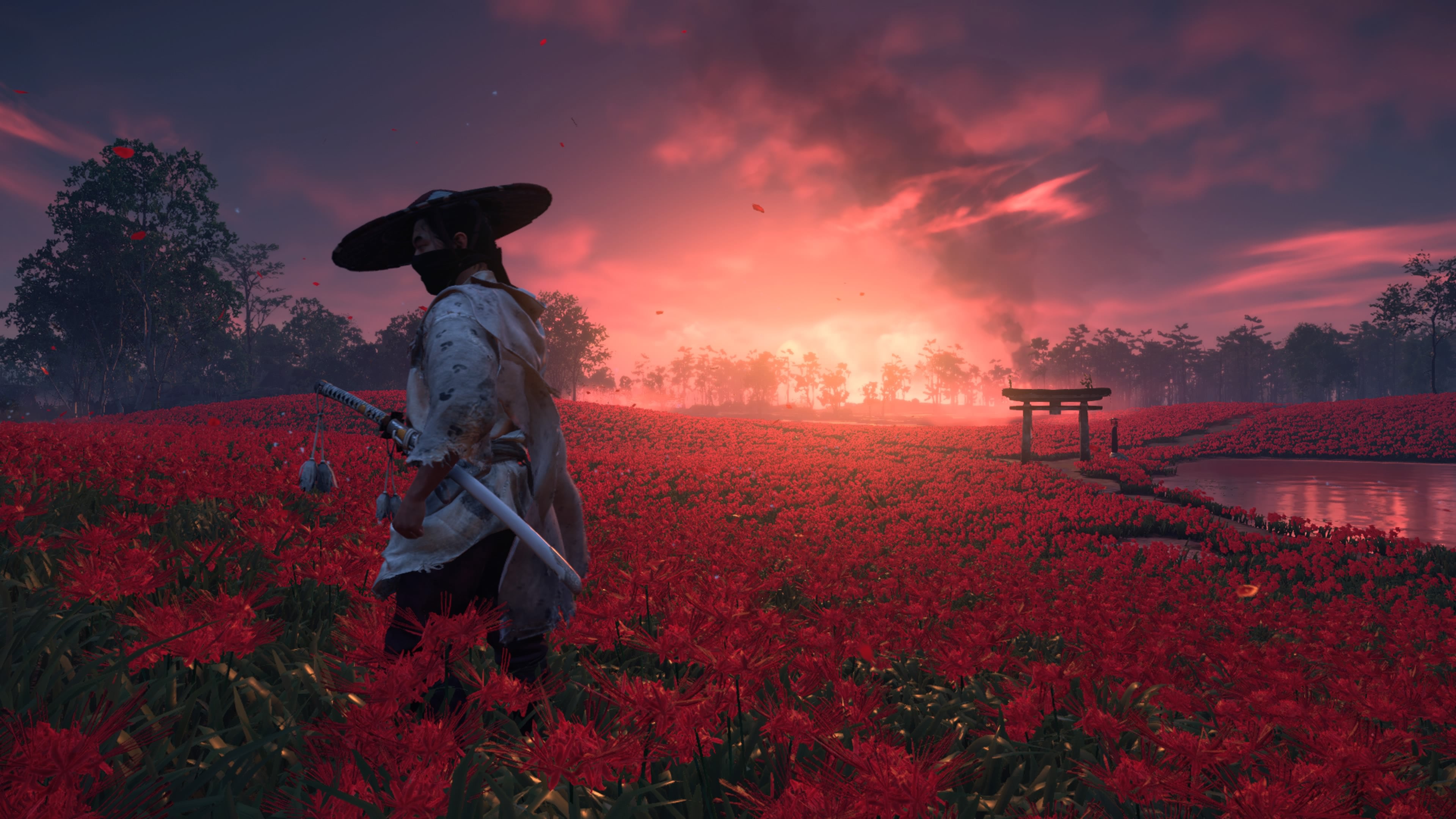Samurai campo fiori rossi, 3840x2160 Ultra HD, Monitor 4K