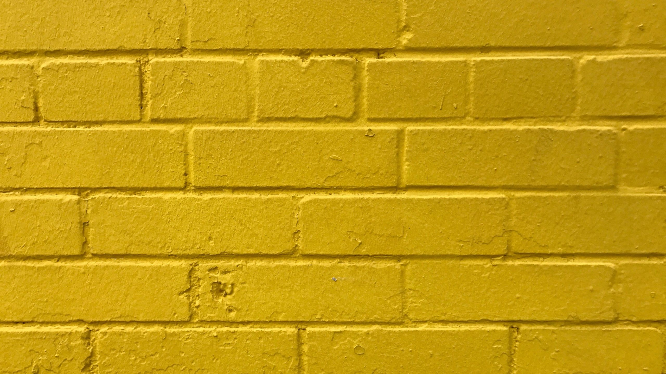 Muro di mattoni gialli, 2560x1440 2K QHD, PC