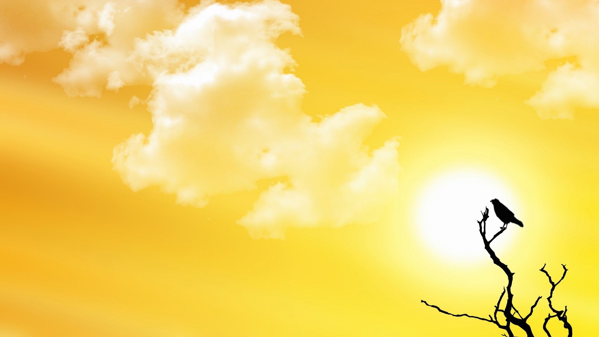Uccello silhouette su ramo secco, 1920x1080 1080p, PC Desktop