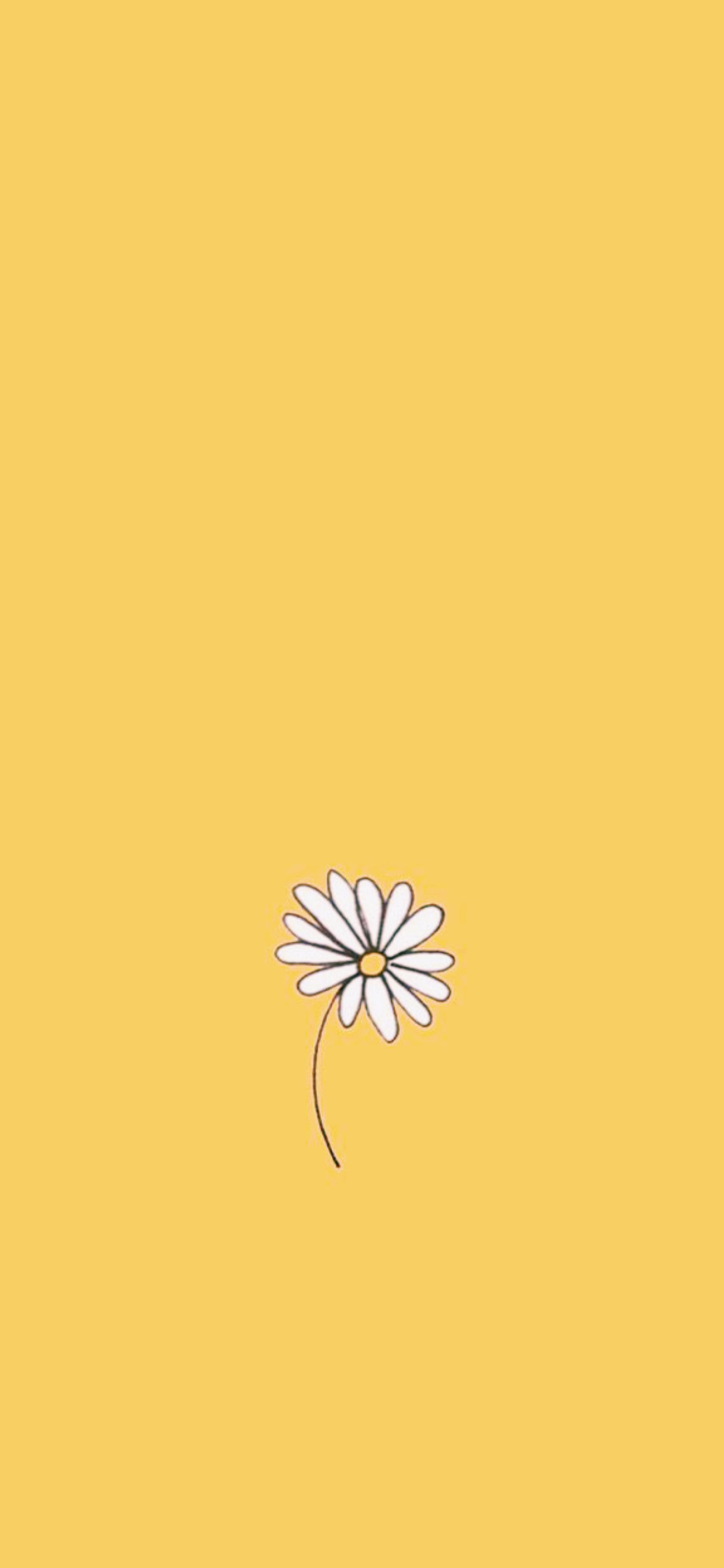 Margherita disegnata su giallo, 2048x4436 Full HD Verticale, iPhone