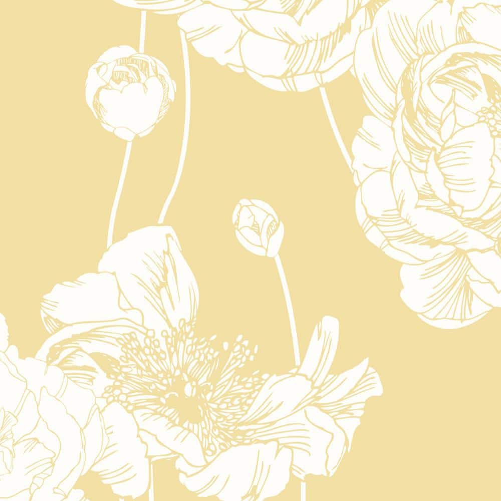 Peonie bianche sfondo giallo pastello, 1000x1000 HD, Desktop