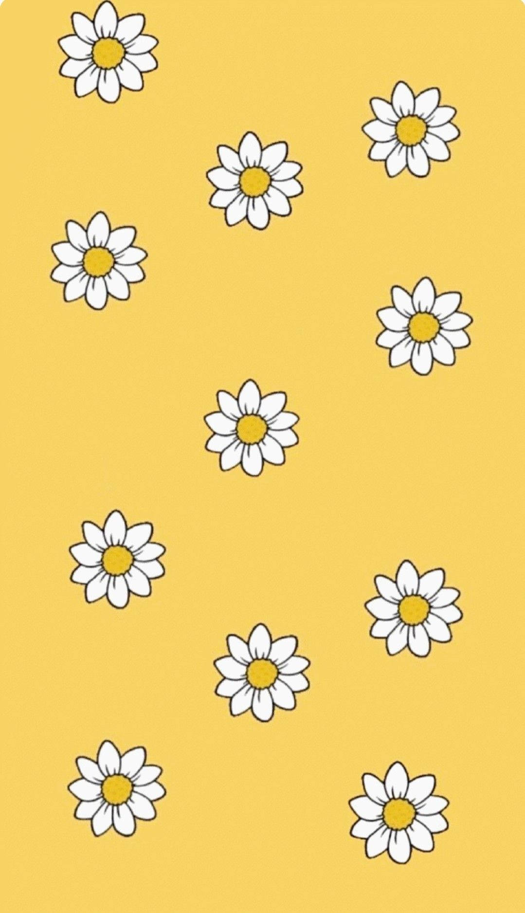 Margherite bianche sfondo giallo, 1079x1876 Verticale, OnePlus