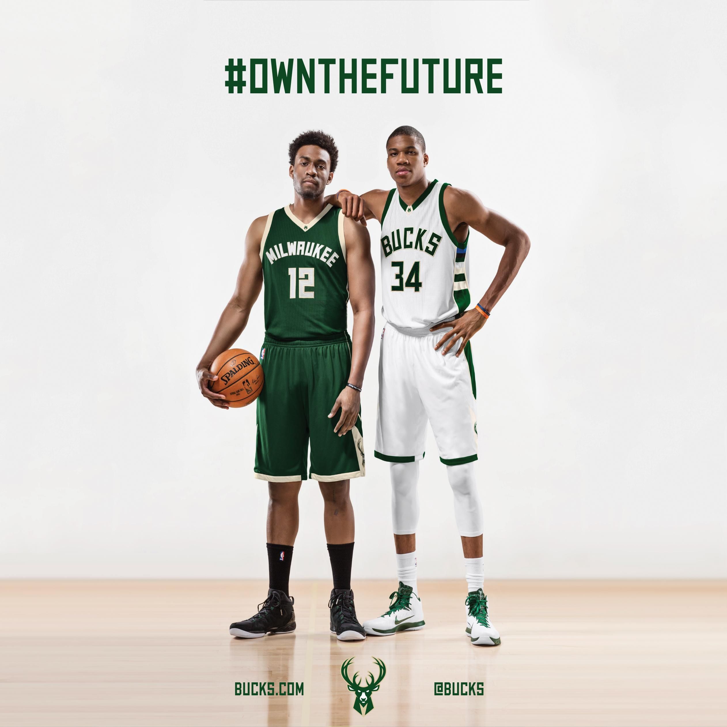 Giannis Antetokounmpo Bucks basket, 1600x1200 HD Ready, Acer Nitro