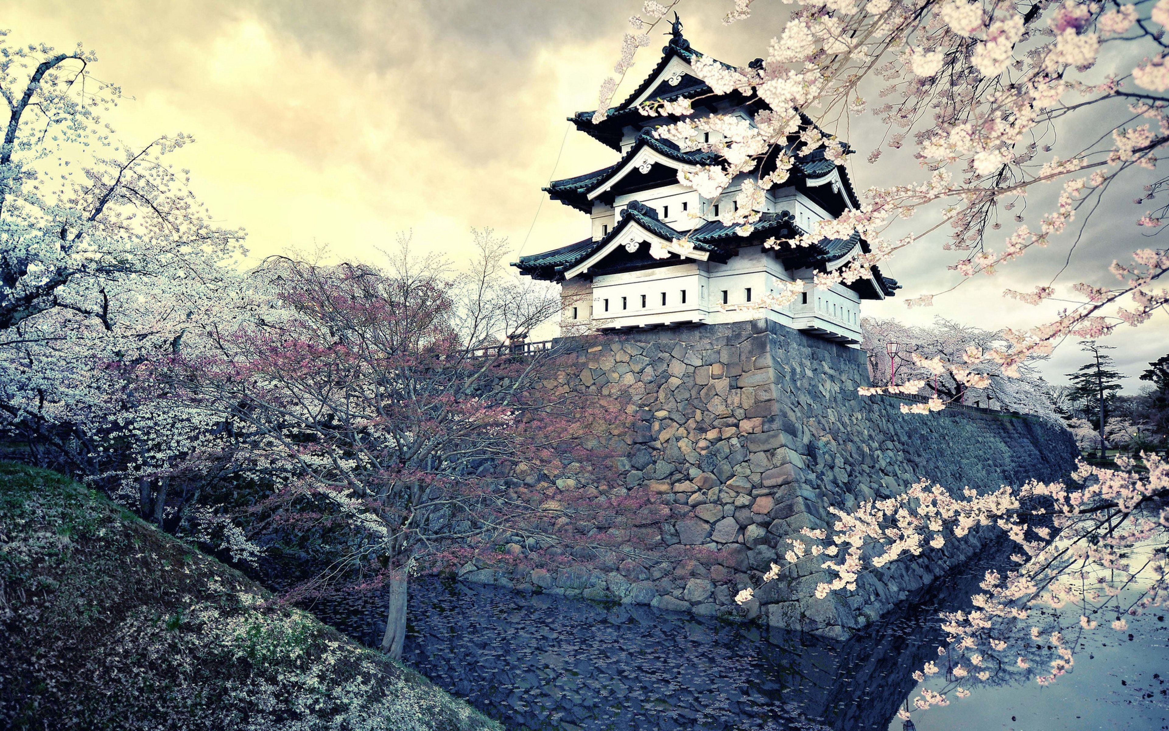 Castello giapponese con ciliegi in fiore, 3840x2400 4K Ultra HD, Monitor 4K