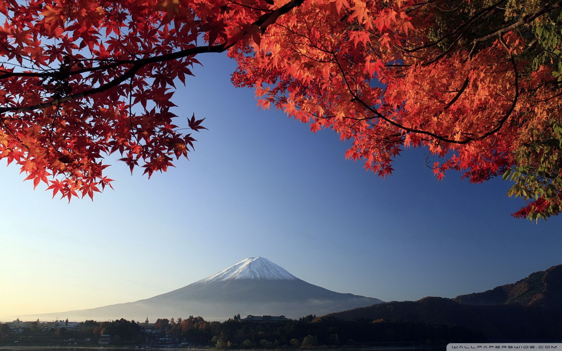 Monte Fuji autunno foglie rosse, 1920x1200 Full HD+ WUXGA, Desktop