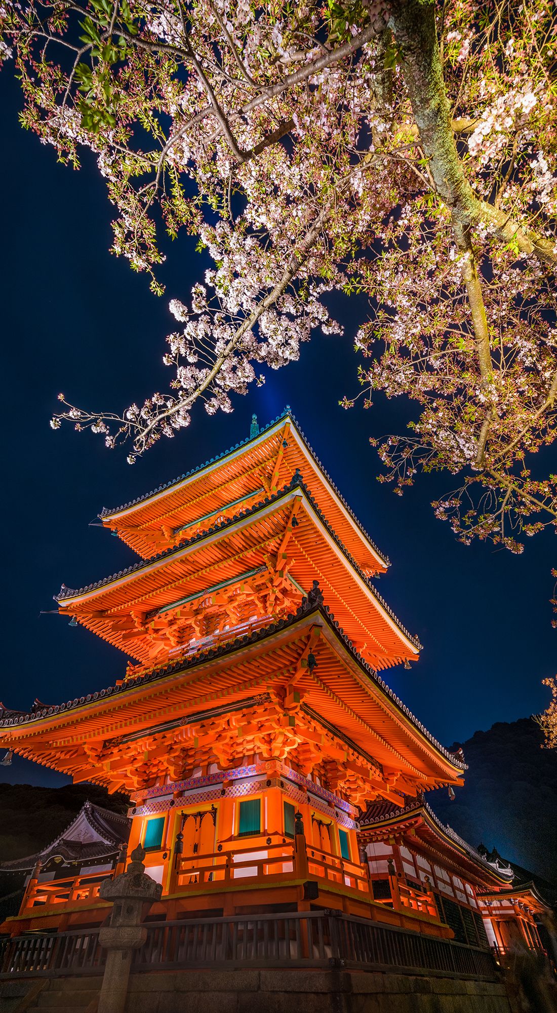 Pagoda giapponese con ciliegi, 1100x2000 Full HD Verticale, Smartphone