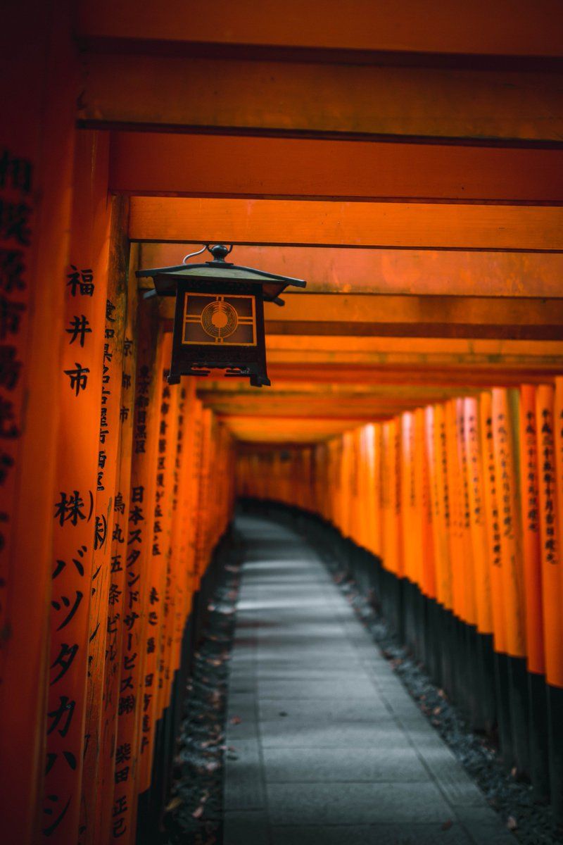 Torii Fushimi Inari, Giappone, 800x1200 Verticale, Mobile
