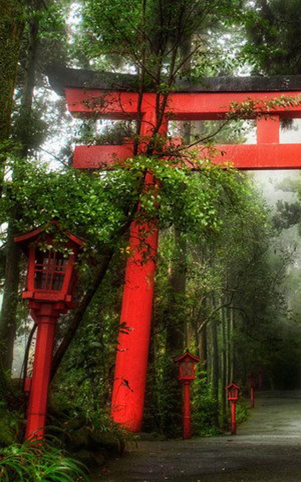 Torii rosso foresta Hakone, 1000x1600 Full HD Verticale, Realme