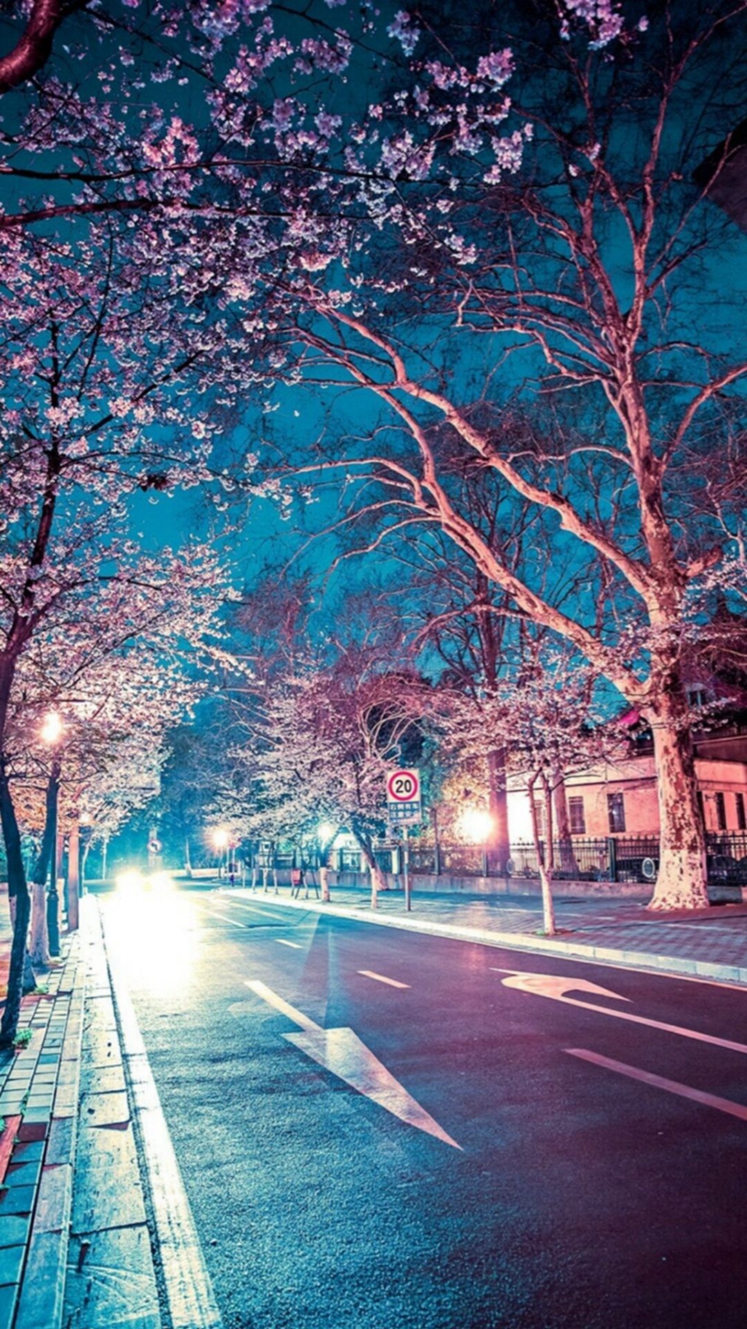 Strada notturna con ciliegi, 1080x1920 Full HD Verticale, Smartphone