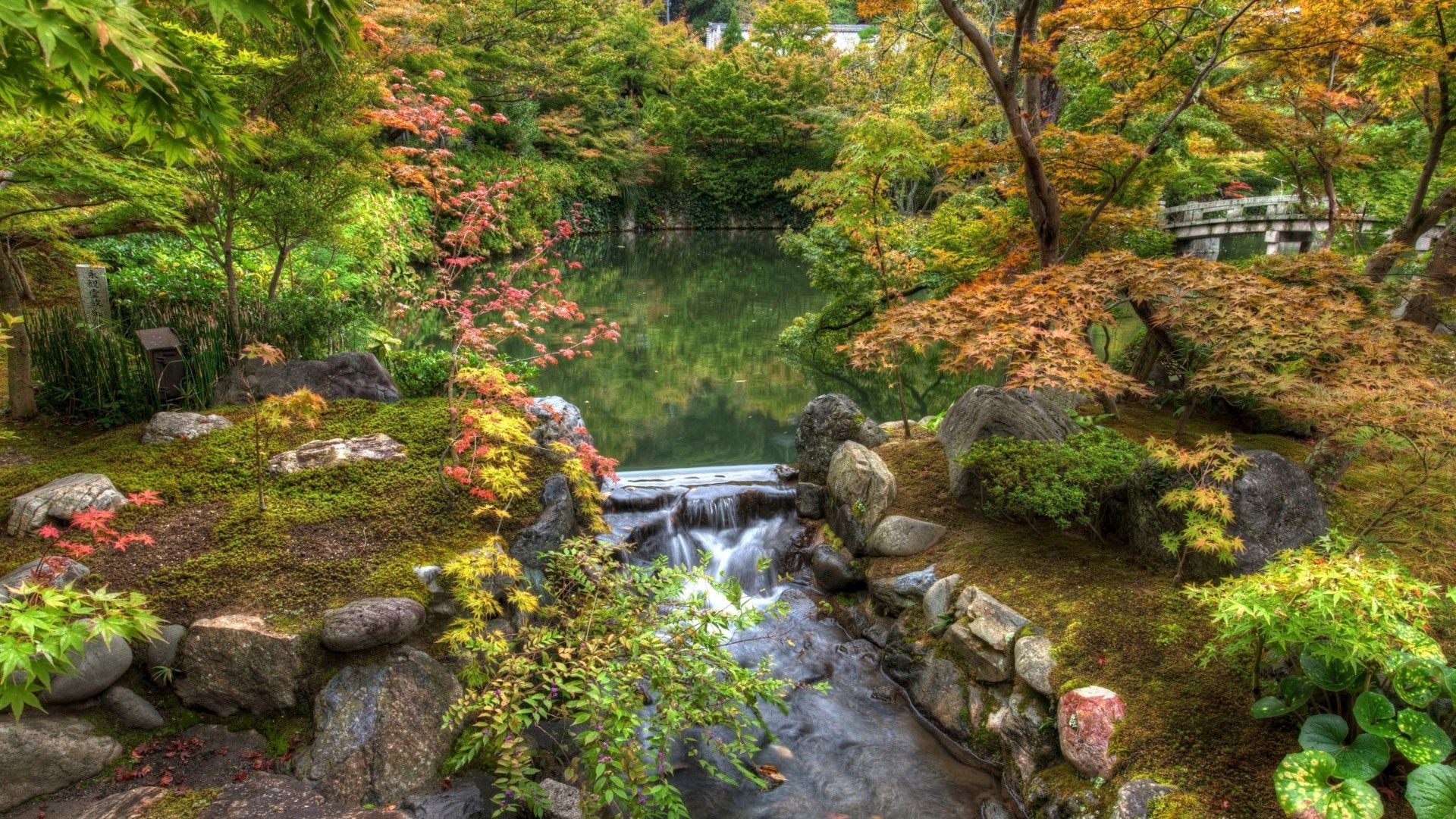 Giardino giapponese con laghetto, 1920x1080 1080p, Desktop