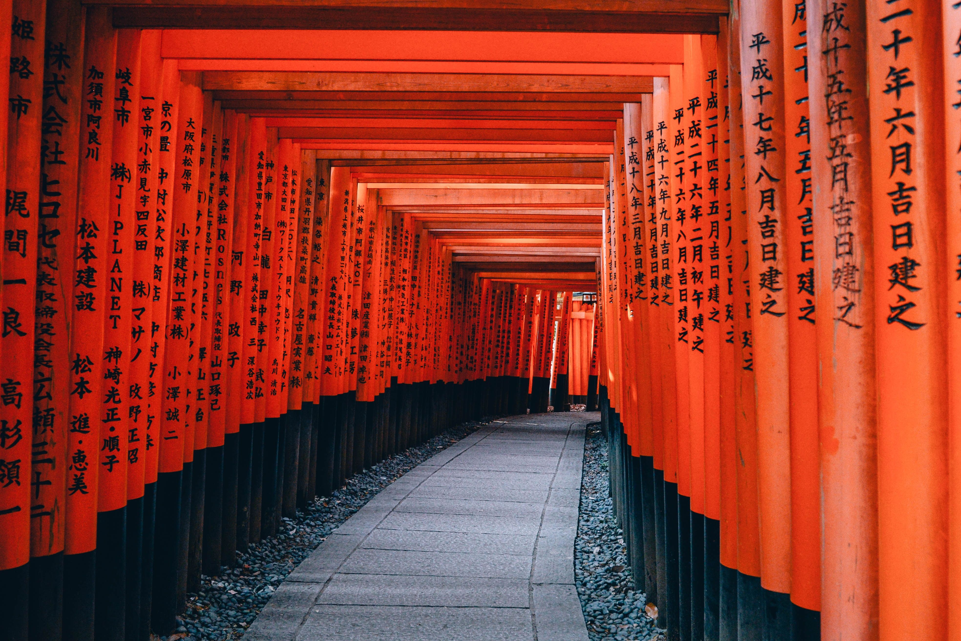 Torii rossi Fushimi Inari Kyoto, 3936x2624 UHD, PC 4K
