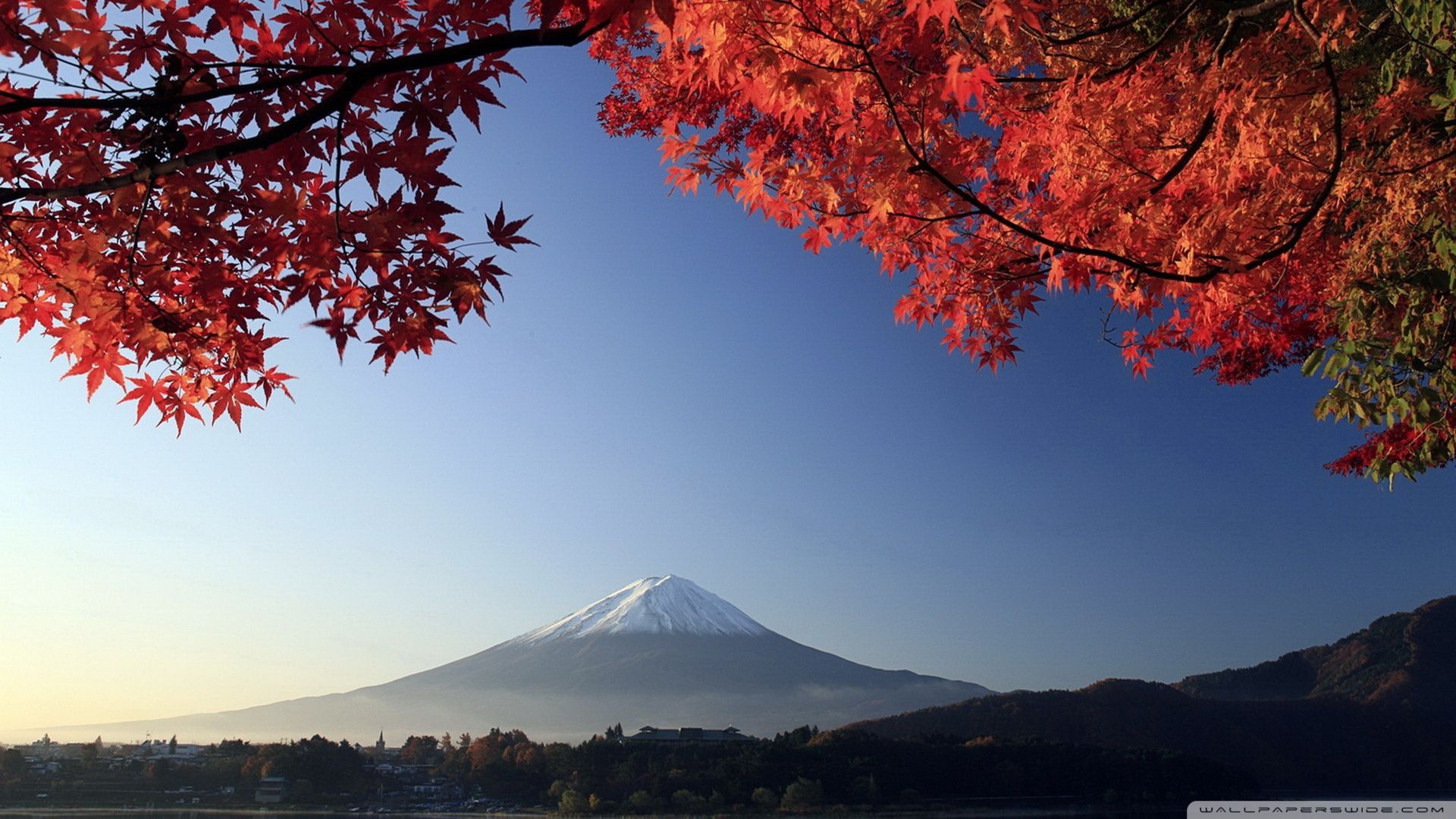 Monte Fuji foglie autunnali rosse, Giappone, 1920x1080 Full HD, Laptop