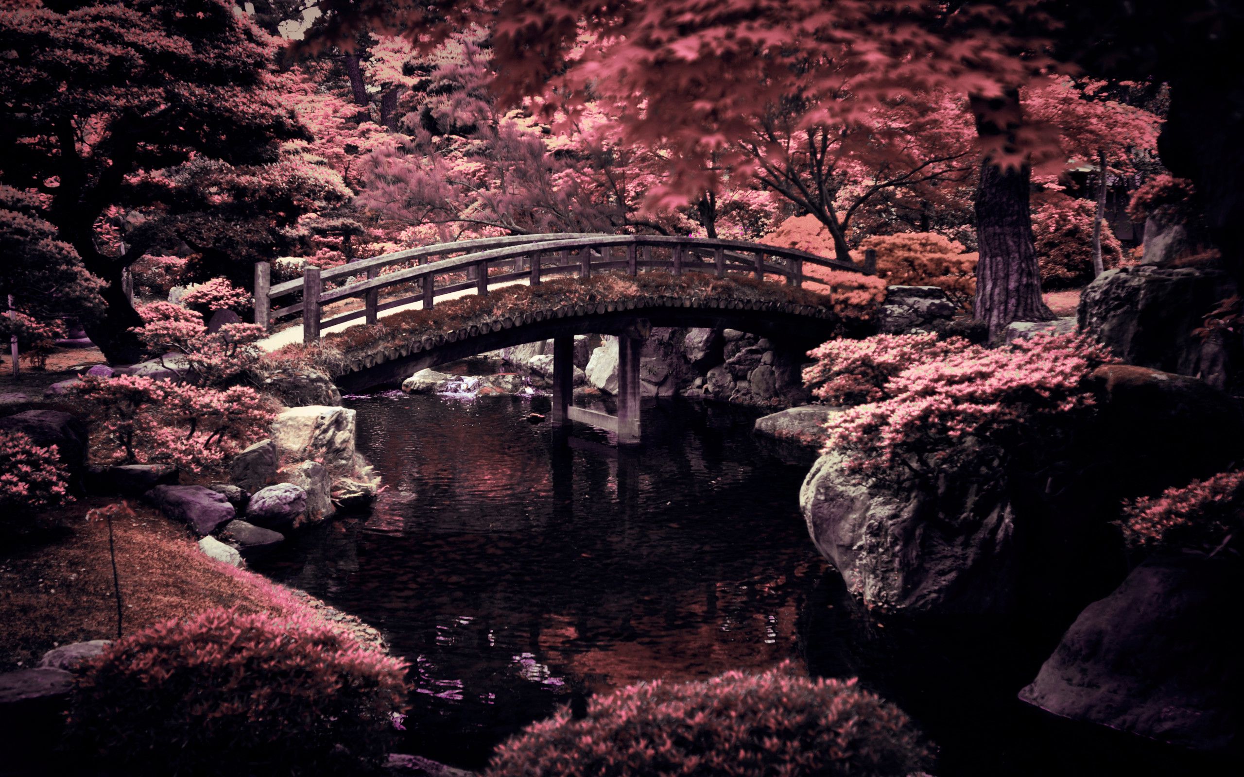 Ponte giardino giapponese autunnale, 2560x1600 2K, PC
