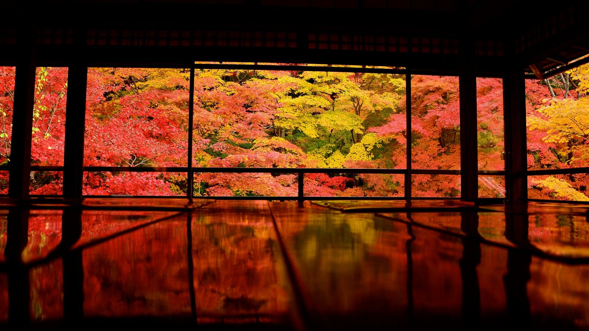 Tempio giapponese autunno foglie, 1920x1080 Full HD 1080p, Desktop