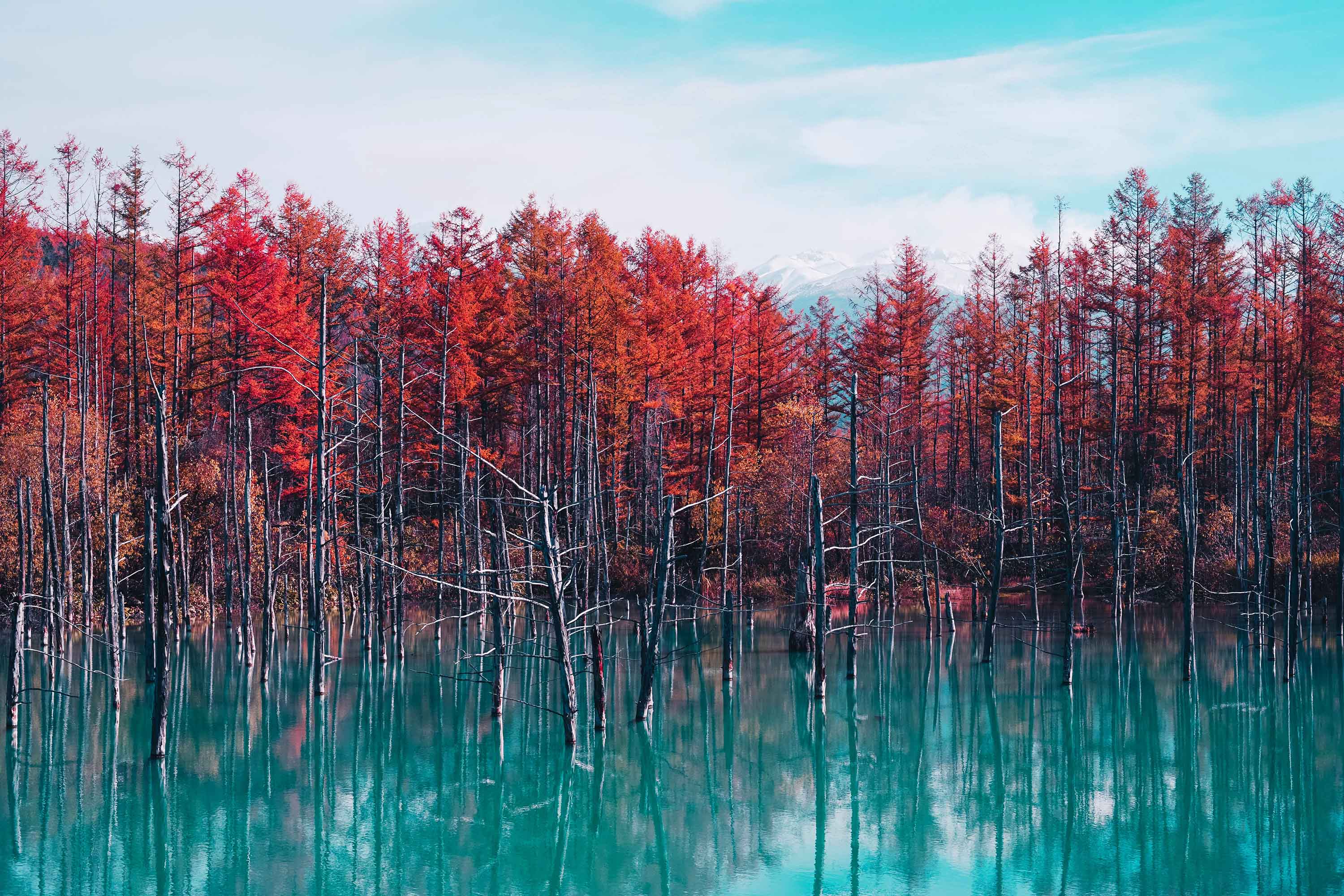 Autunno rosso, lago turchese Hokkaido, 3000x2000 2K+, PC