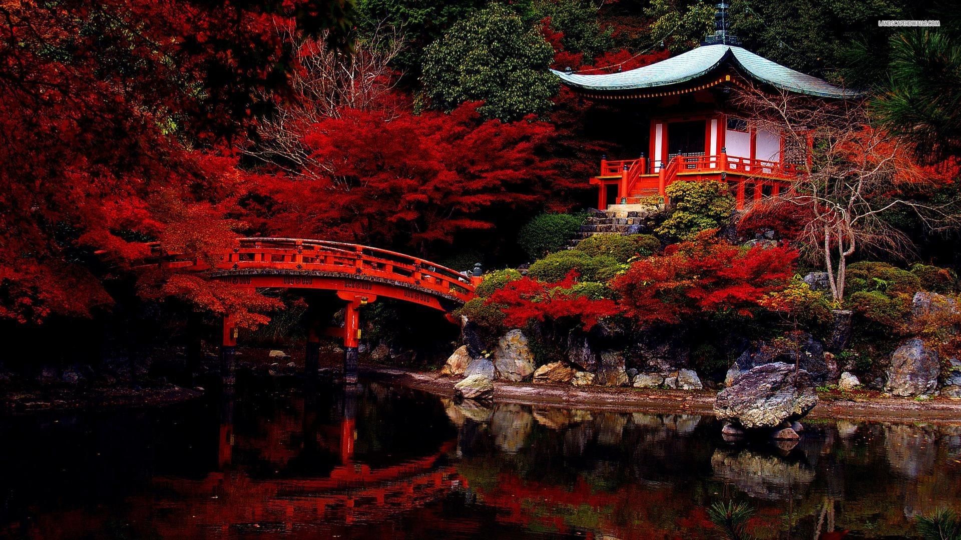 Ombrello rosso giardino giapponese, 1152x864 HD, Desktop