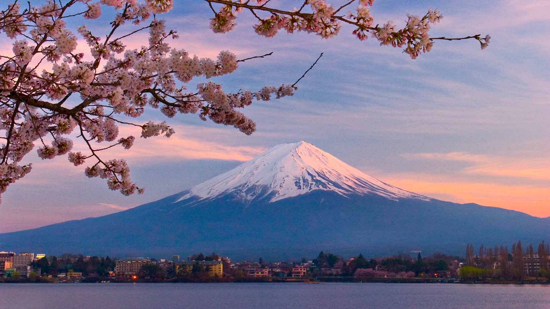Monte Fuji fiori di ciliegio, vulcano, 1920x1080 1080p, PC Desktop
