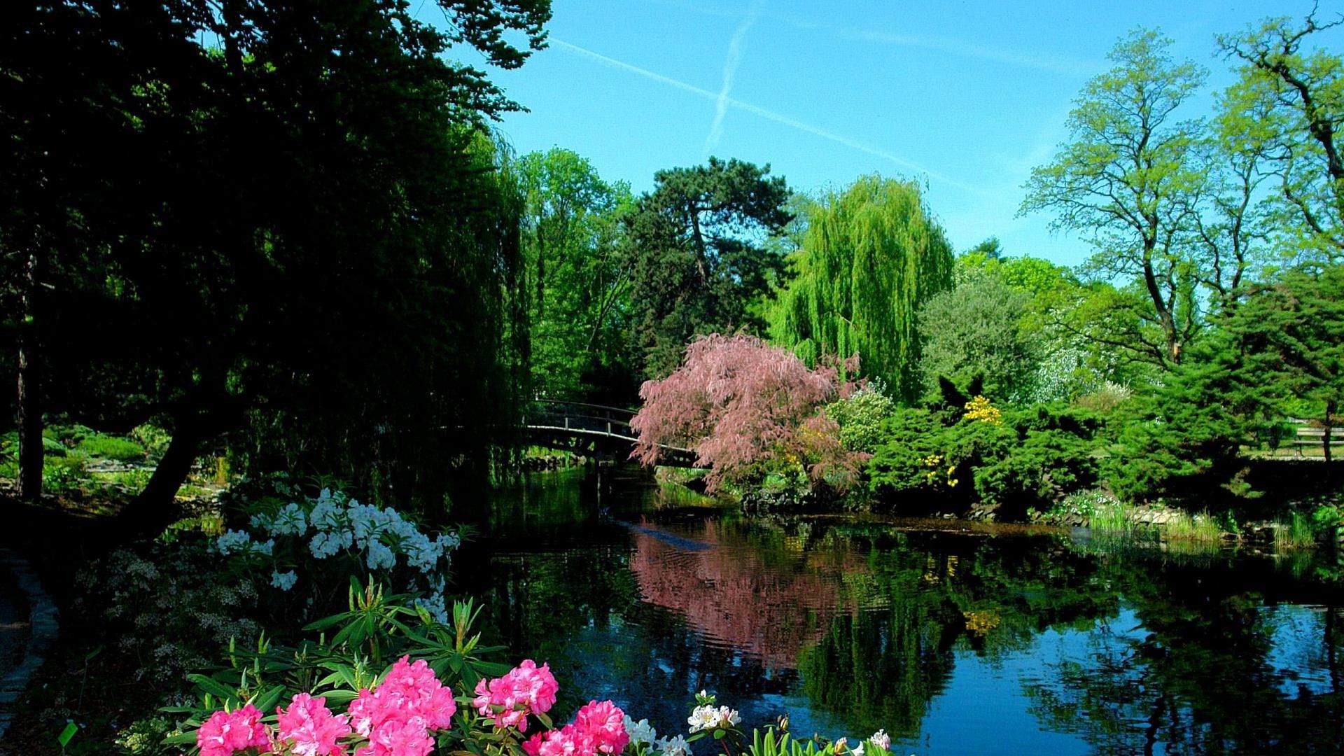 Padiglione giapponese in giardino, 1920x1080 1080p, Monitor Gaming