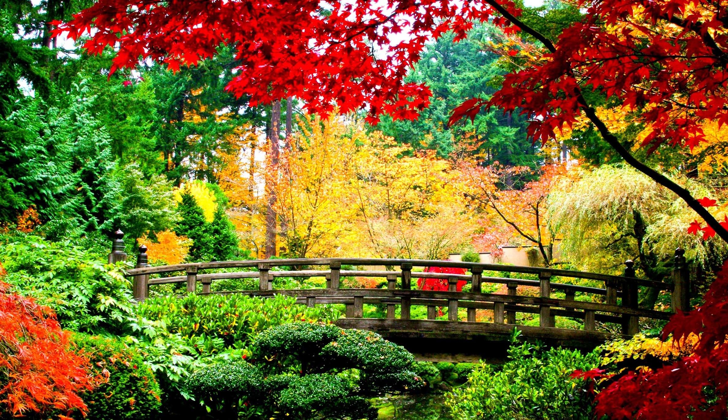 Giardino giapponese con passerella, 1396x1047 HD, Desktop