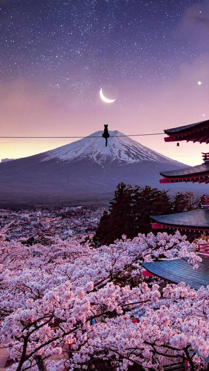 Monte Fuji con ciliegi in fiore, vulcano, 720x1280 Verticale, Mobile