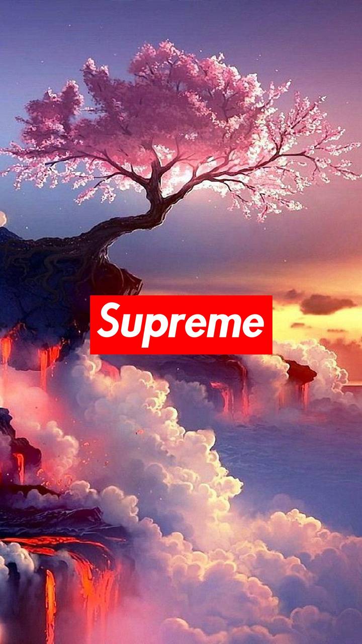 Albero sakura su nuvole con logo Supreme, New York, 720x1280 Full HD Verticale, iPhone