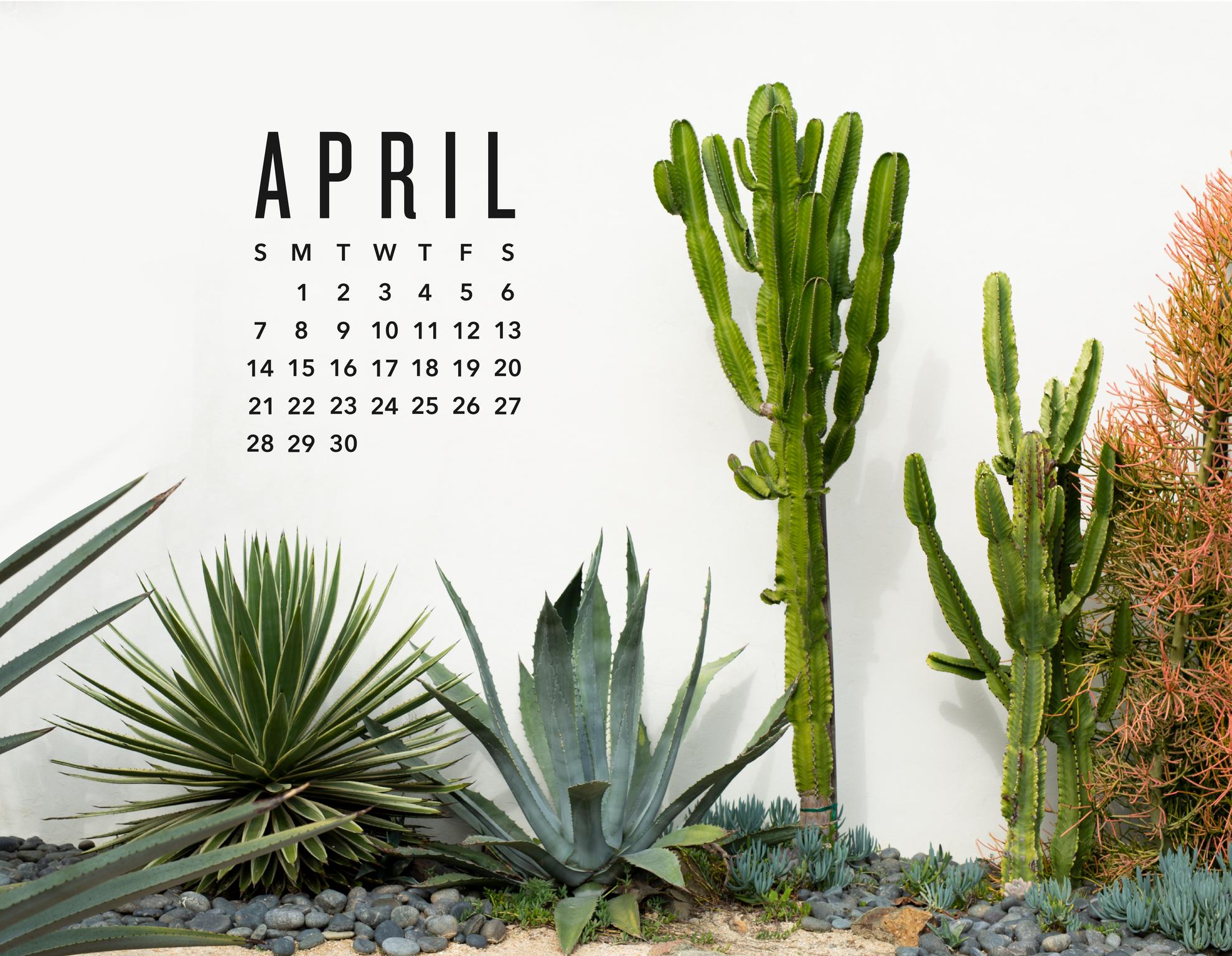 Calendario aprile con cactus, 1979x1536 Full HD+ WUXGA, PC Desktop