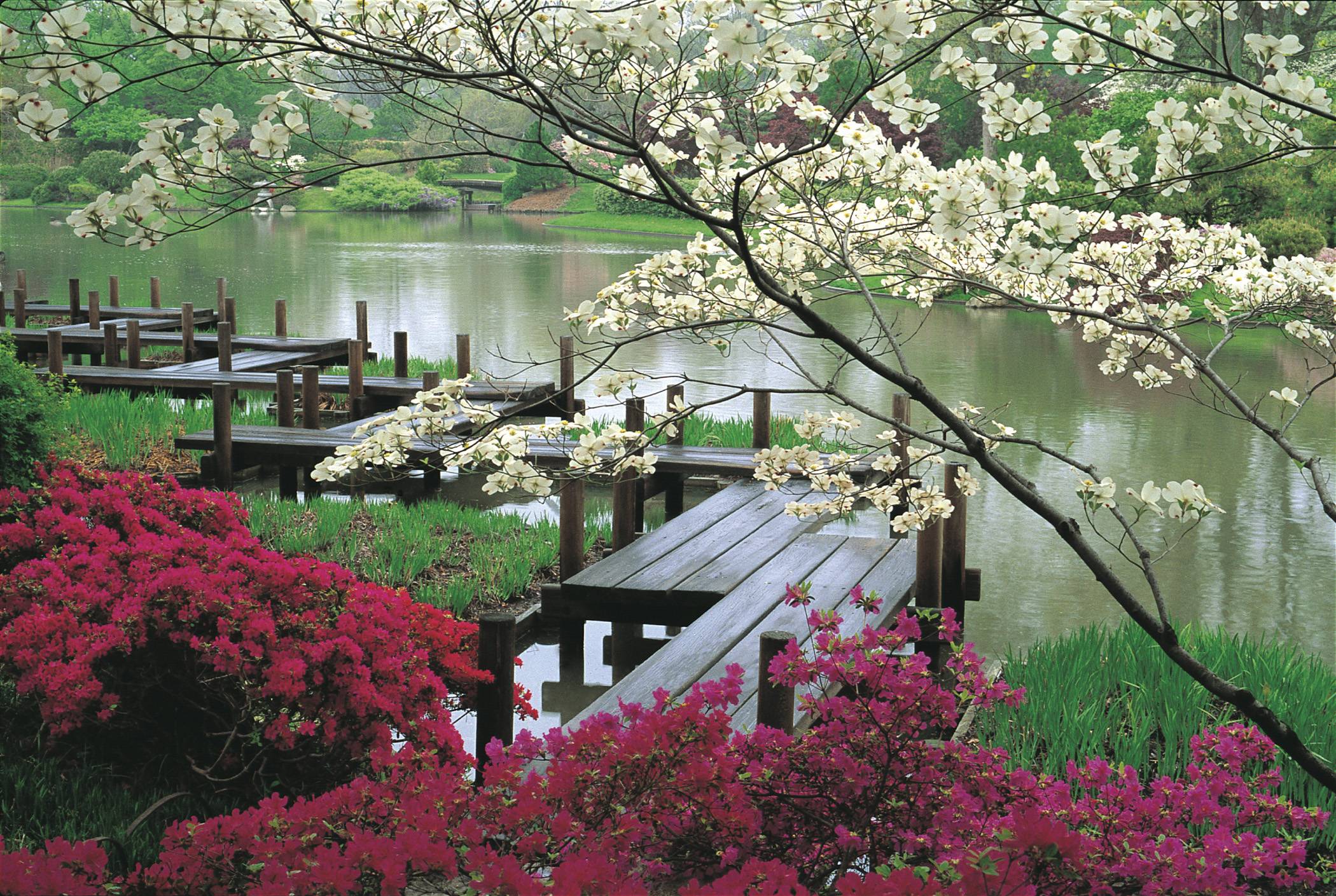 Giardino giapponese con ponte di legno, 2100x1409 2K, iMac