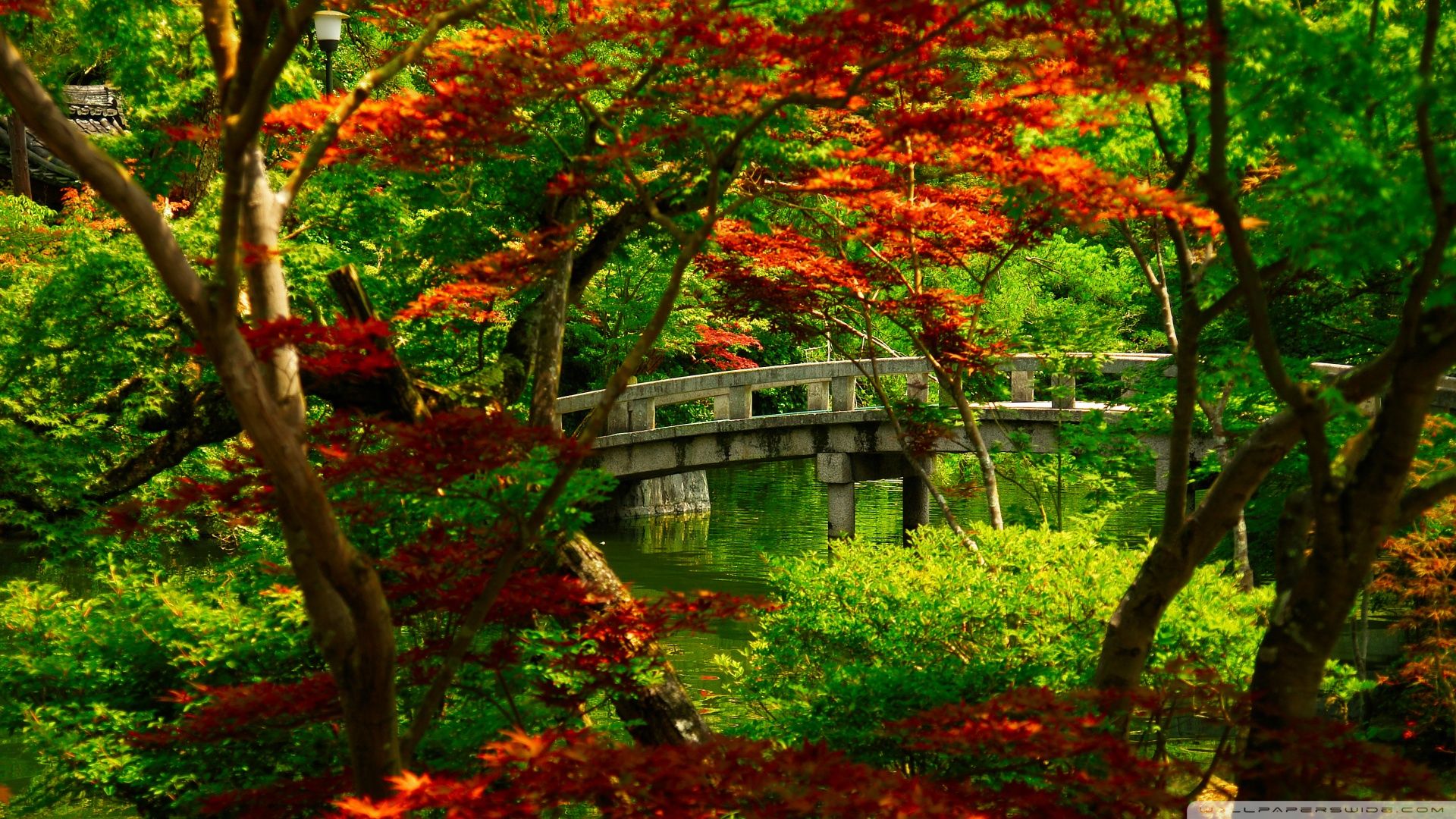Ponte in pietra giardino giapponese, 1920x1080 1080p, Laptop