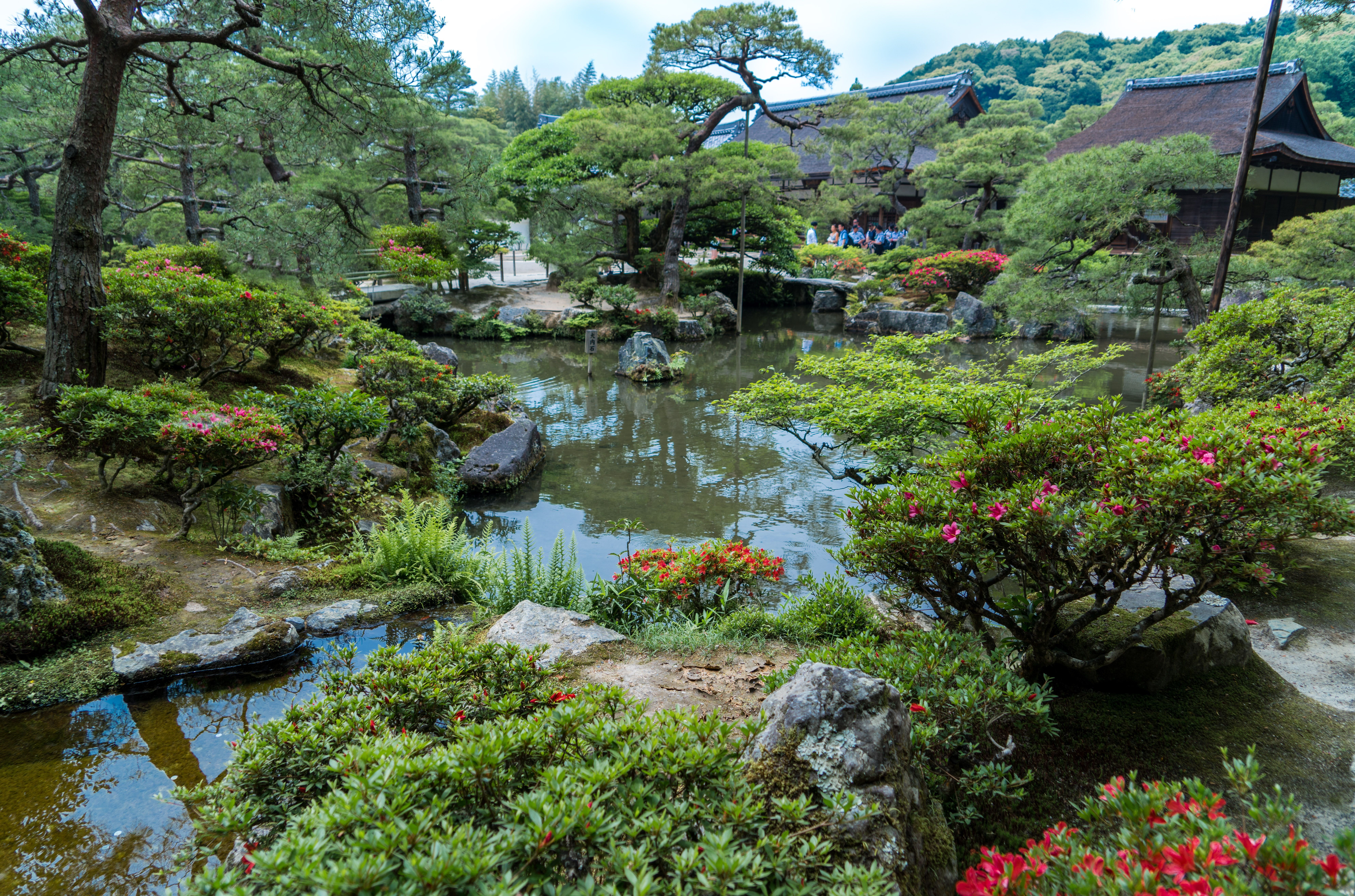 Giardino giapponese con stagno, 7952x5261 4K Ultra HD, Monitor 4K