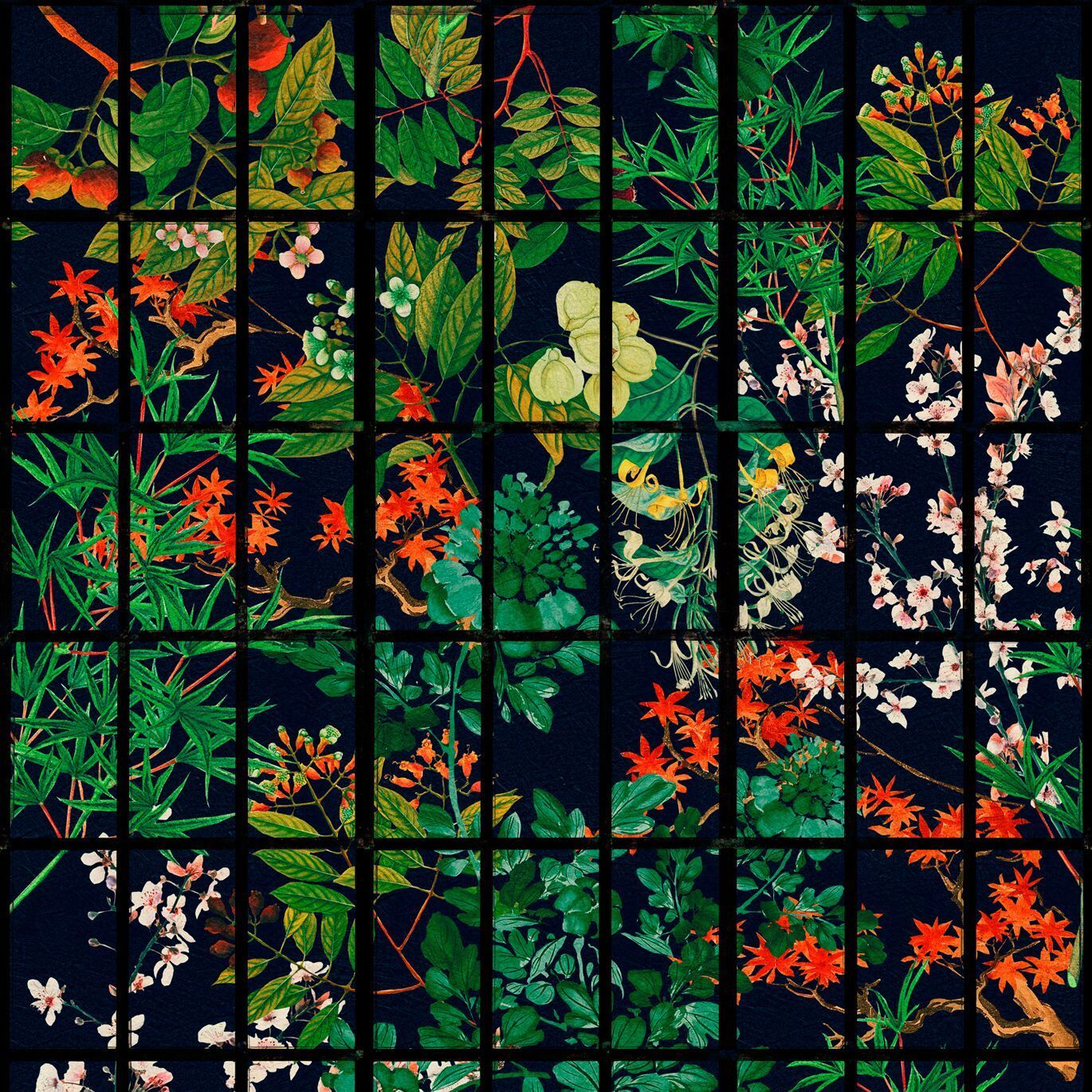 Griglia botanica sfondo nero, 1370x1370 720p, MacBook Air