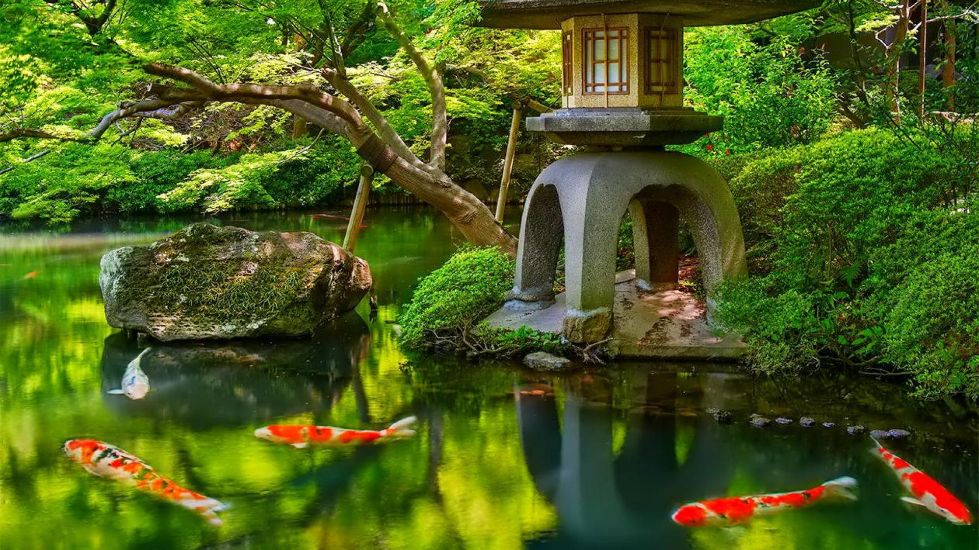 Giardino giapponese con laghetto koi, 1920x1080 Full HD 1080p, Desktop