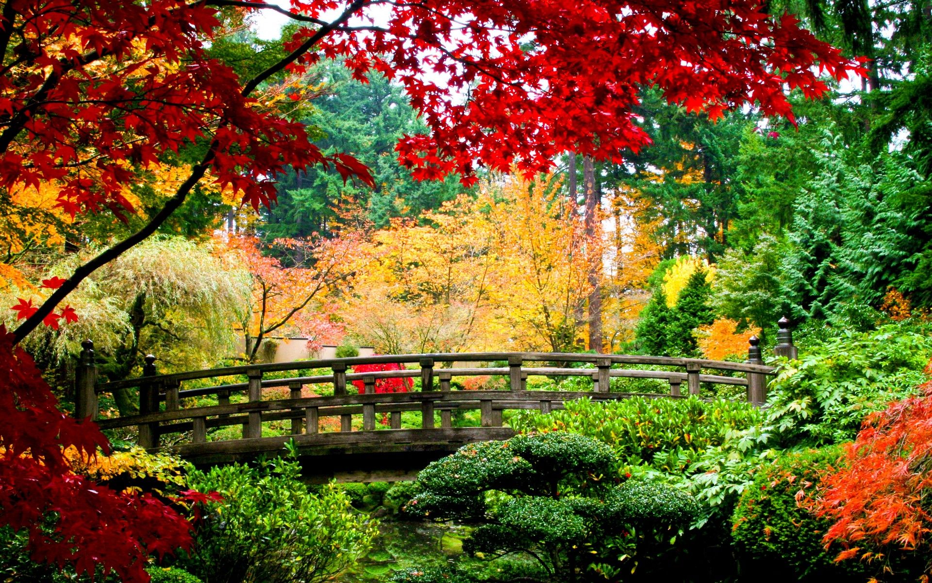 Ponte di legno giardino giapponese autunnale, 1920x1200 WUXGA, Desktop
