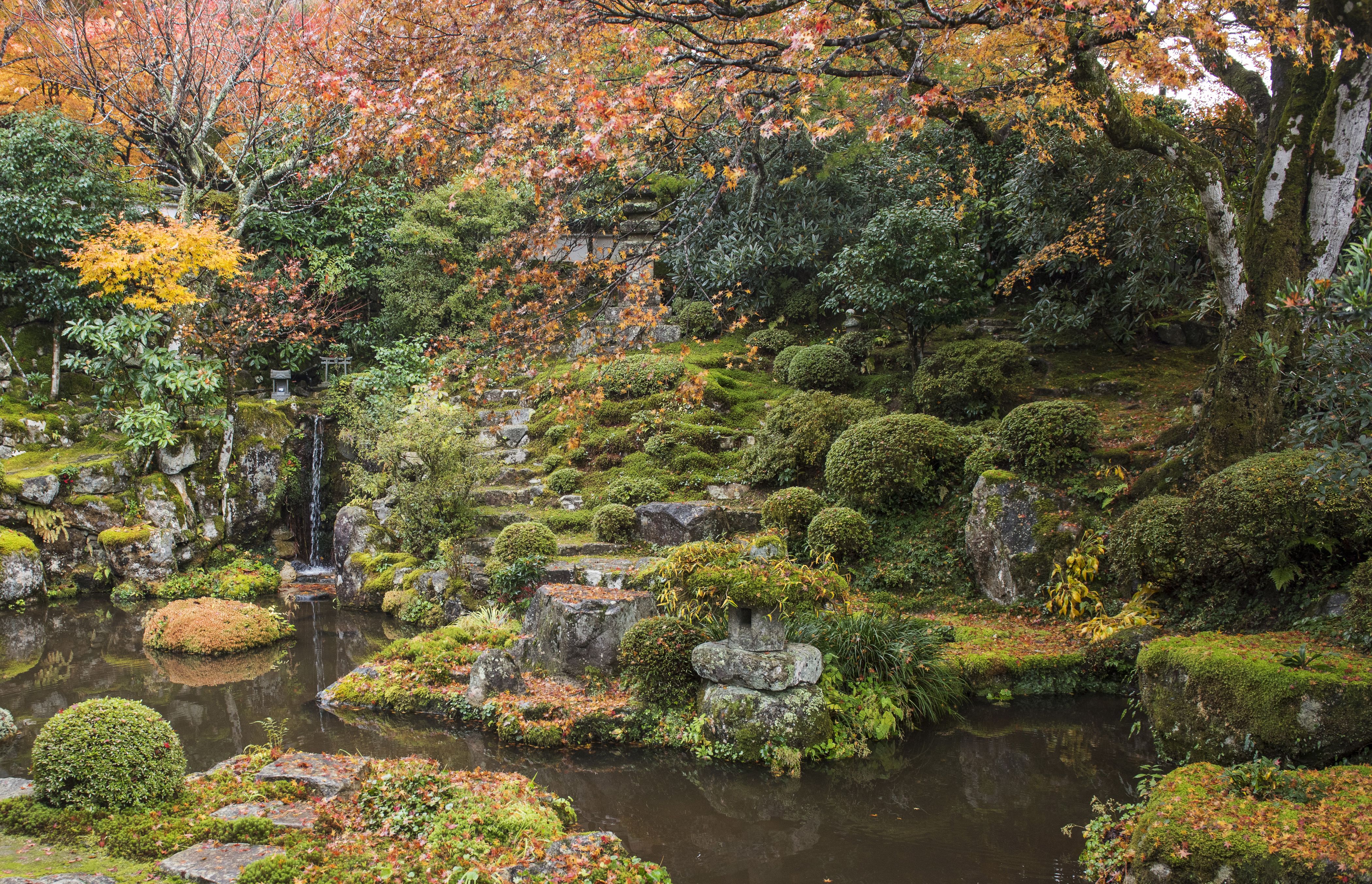 Giardino giapponese autunnale con laghetto, 4200x2705 UHD, PC 4K