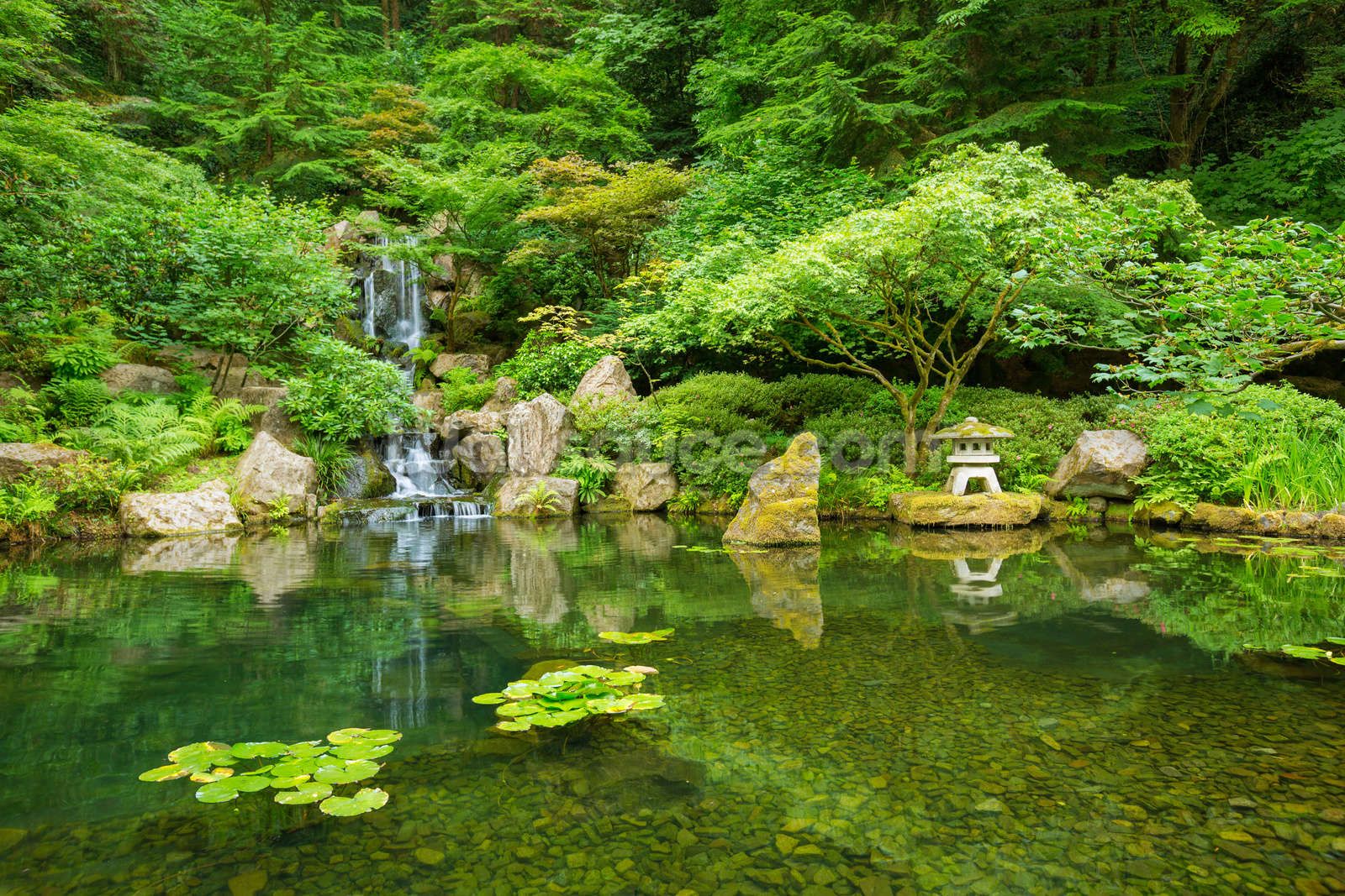 Cascata giardino giapponese verde, 1600x1067 HD Ready, PC