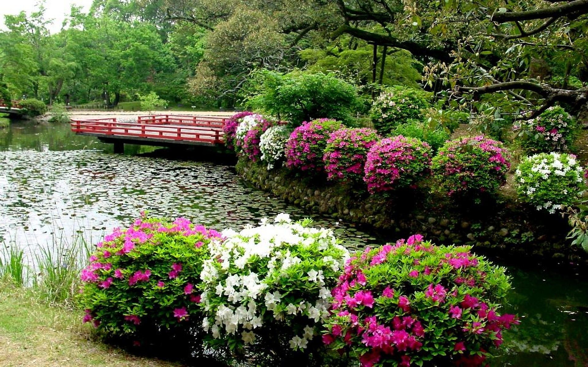 Giardino giapponese con ponte rosso, 1920x1200 Full HD+ WUXGA, PC Desktop